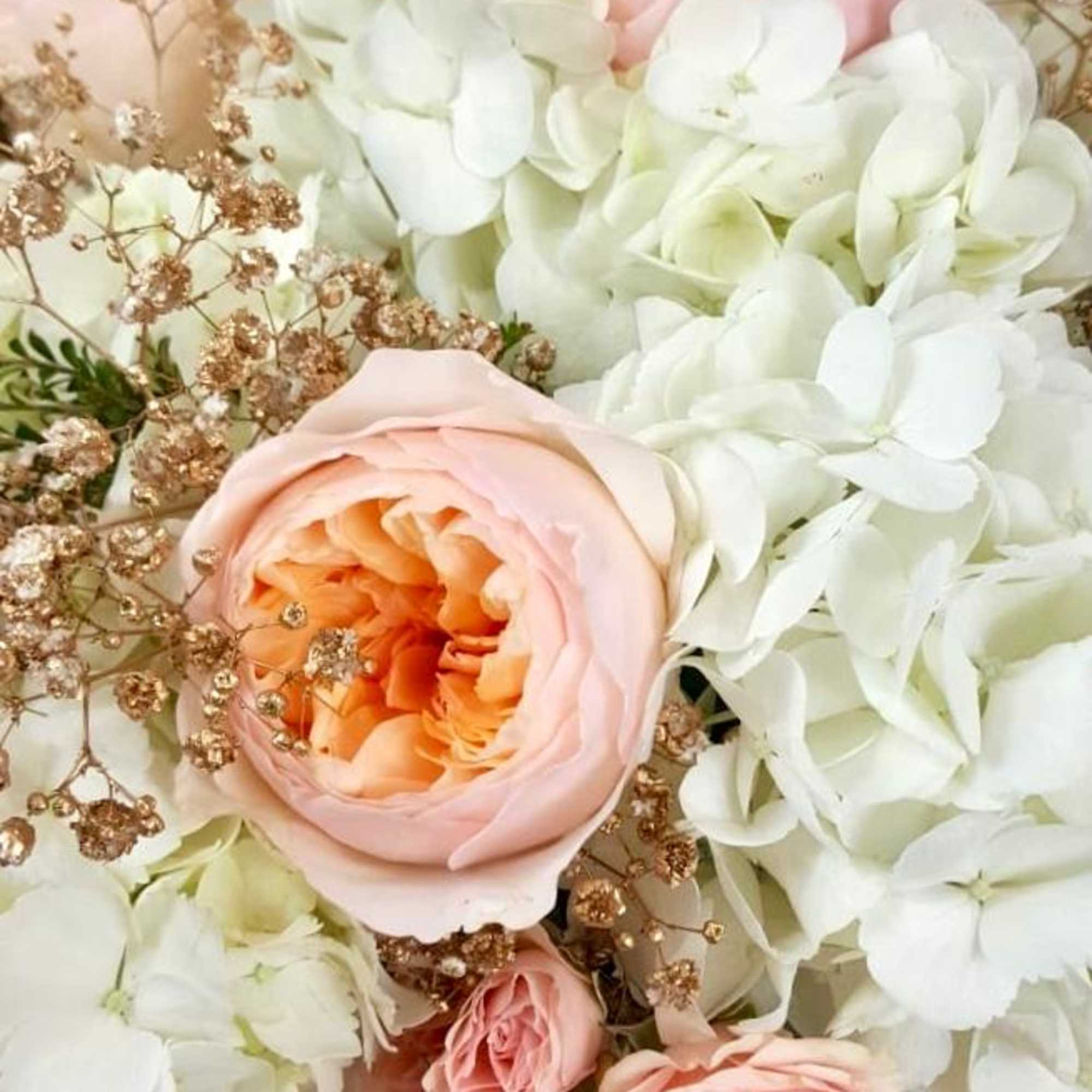 White Hydrangea, Juliet Garden Roses, Light Pink Spray Roses, Gold Baby&#039;s Breath