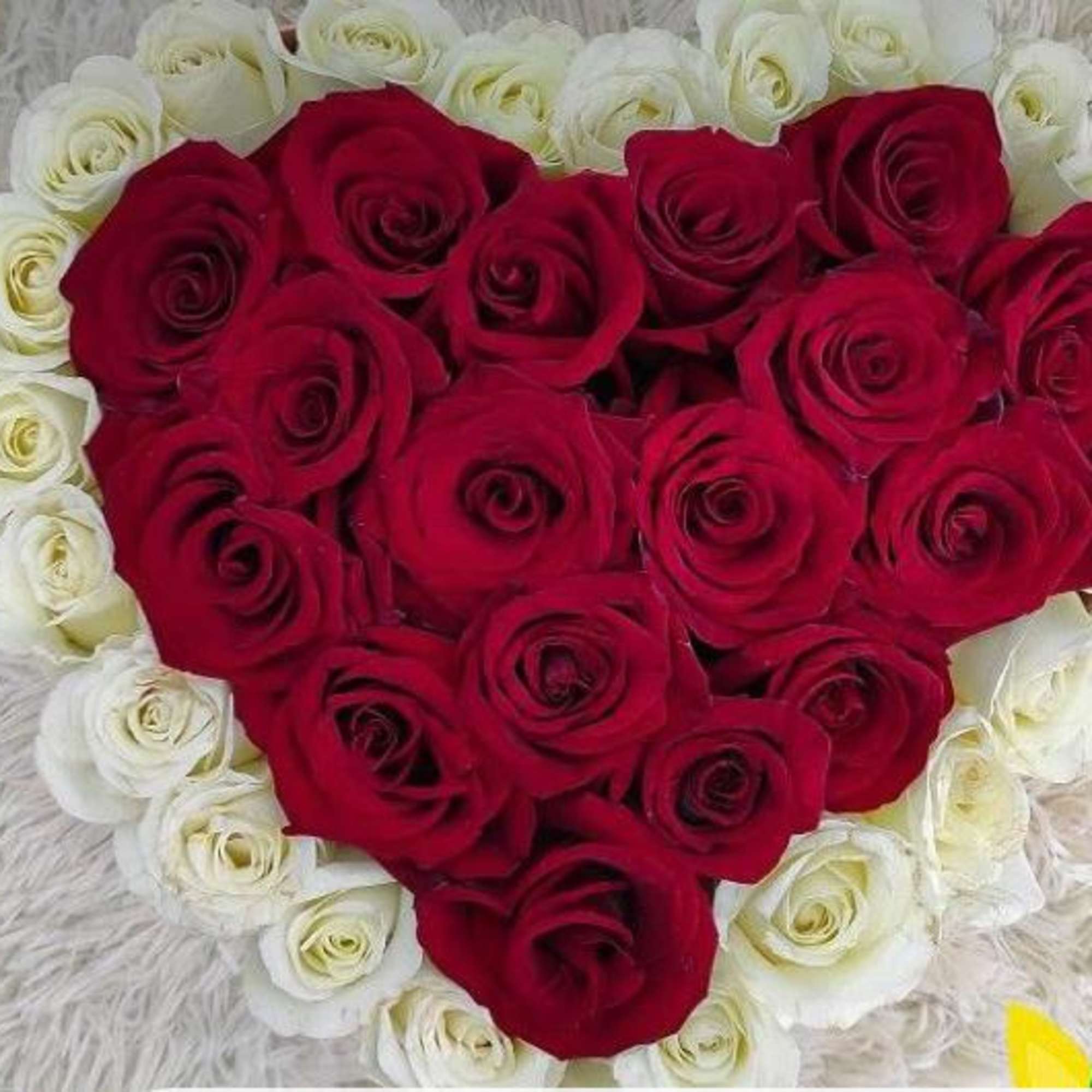 red and white roses, small , medium and large hearts.box
