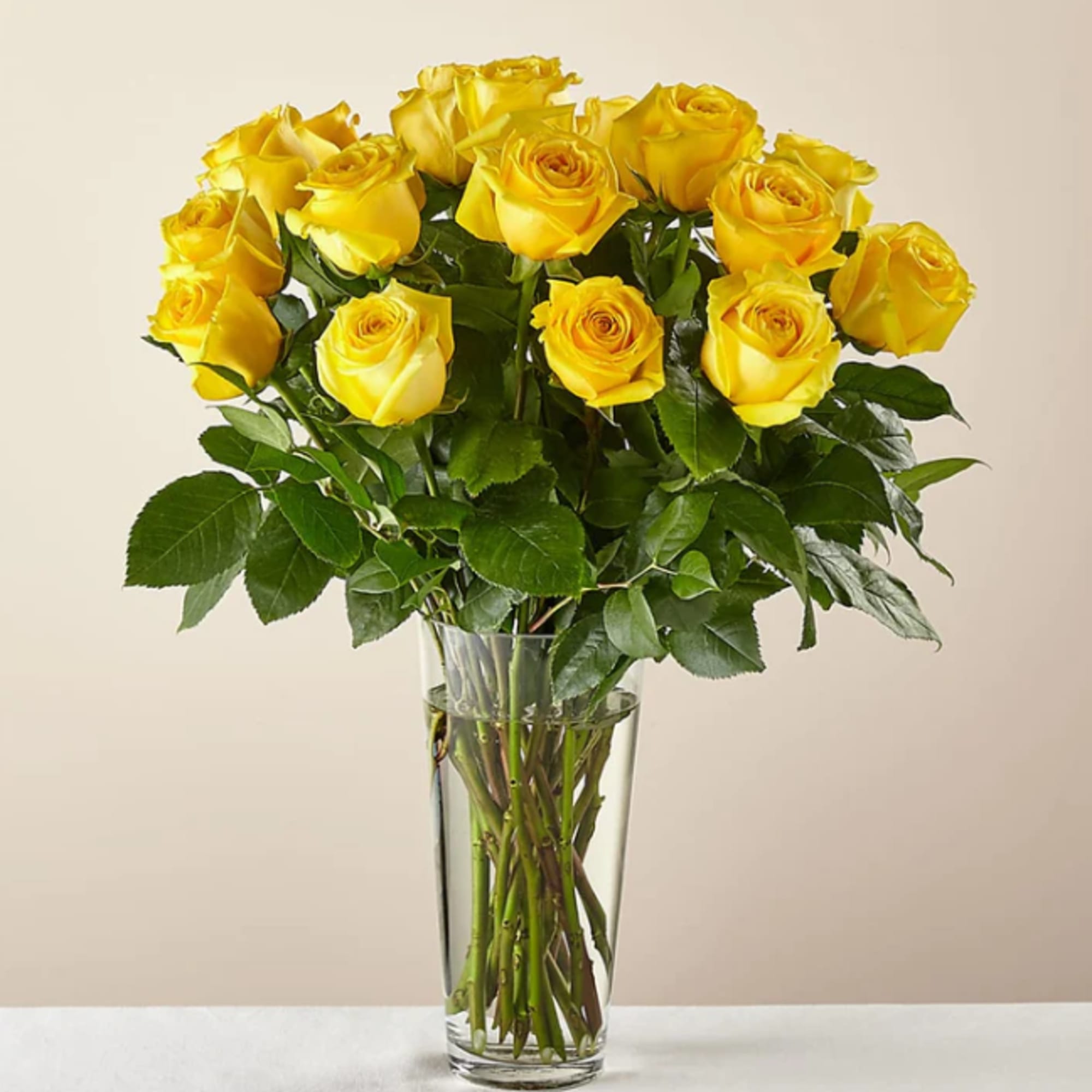 Nothing brightens someone&#039;s day quite like the sunny shade of yellow. While