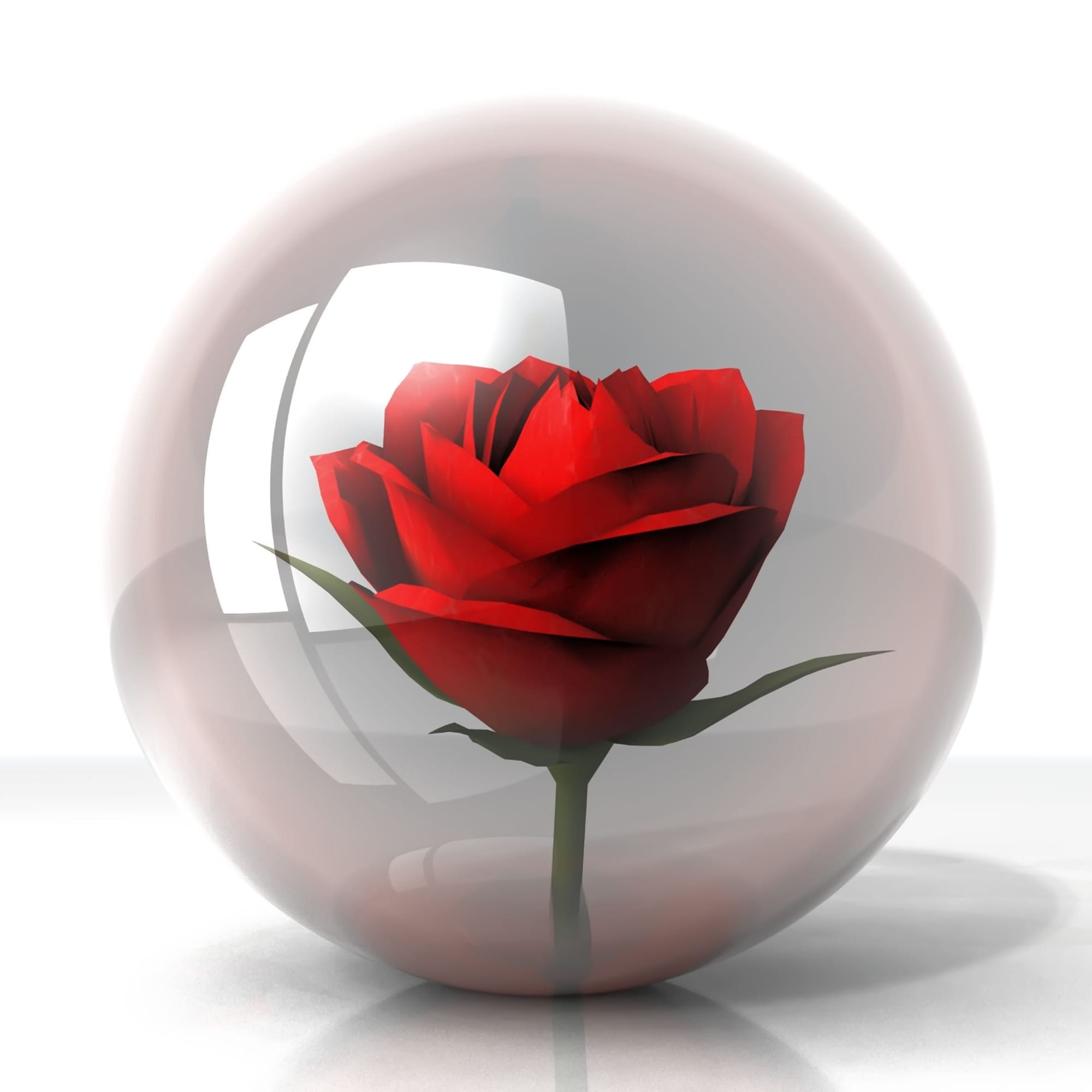 This is a real rose that has been preserved and will last