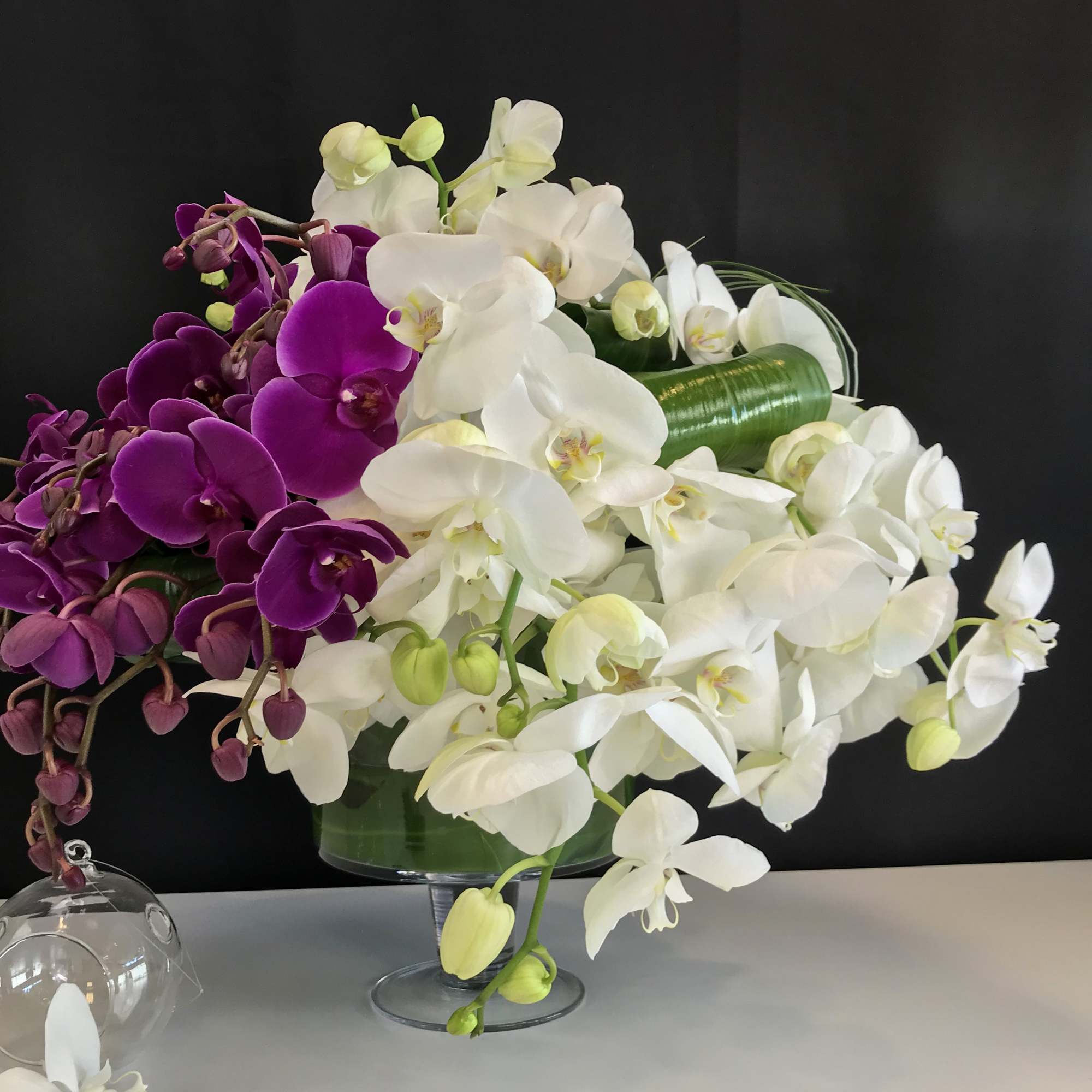 Phalaenopsis orchids arrangement in clear modern vase with greenery. 