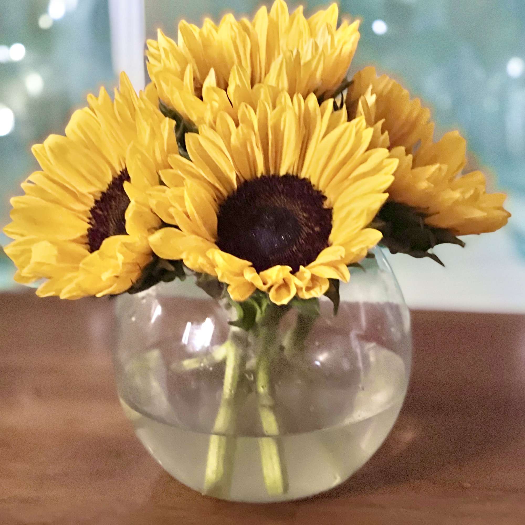 Fresh sunflowers in a clear bubble bowl. Greens can be added if