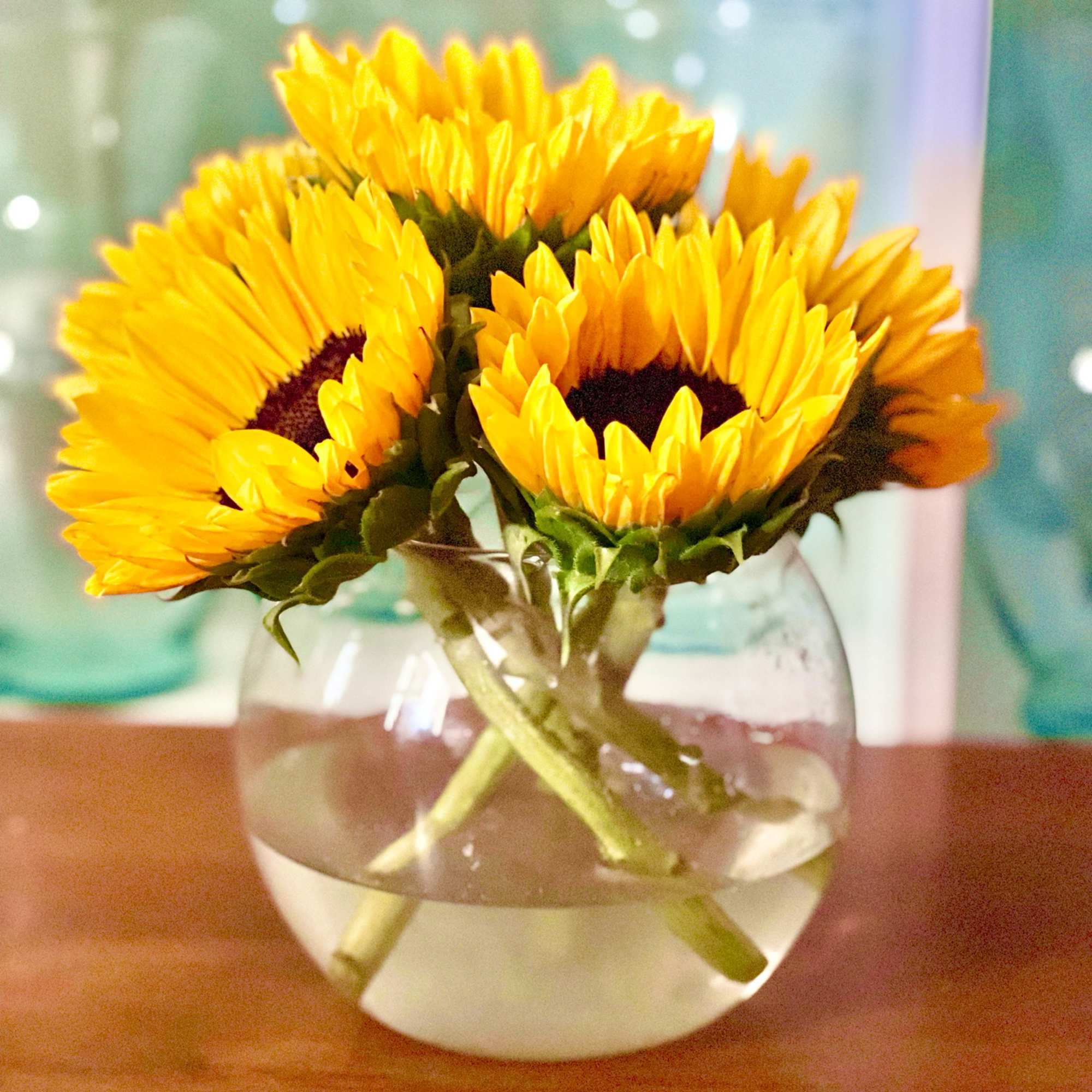 Fresh sunflowers in a clear bubble bowl. Greens can be added if