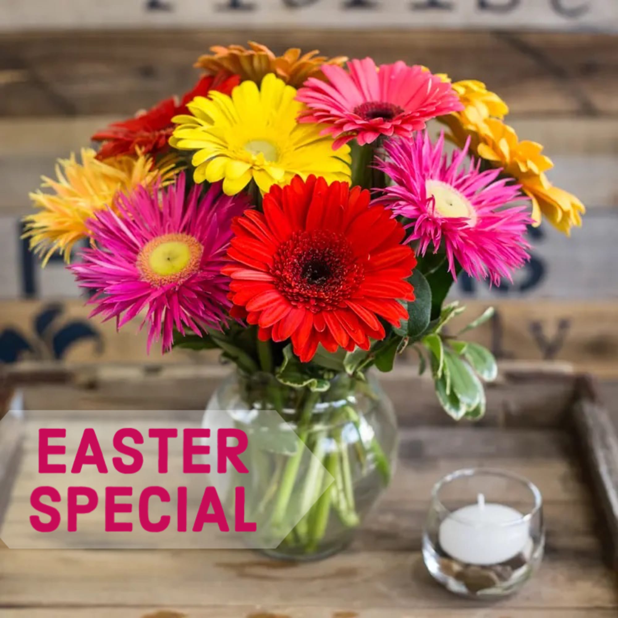 A burst of colorful gerbera daisies are arranged low and compact in