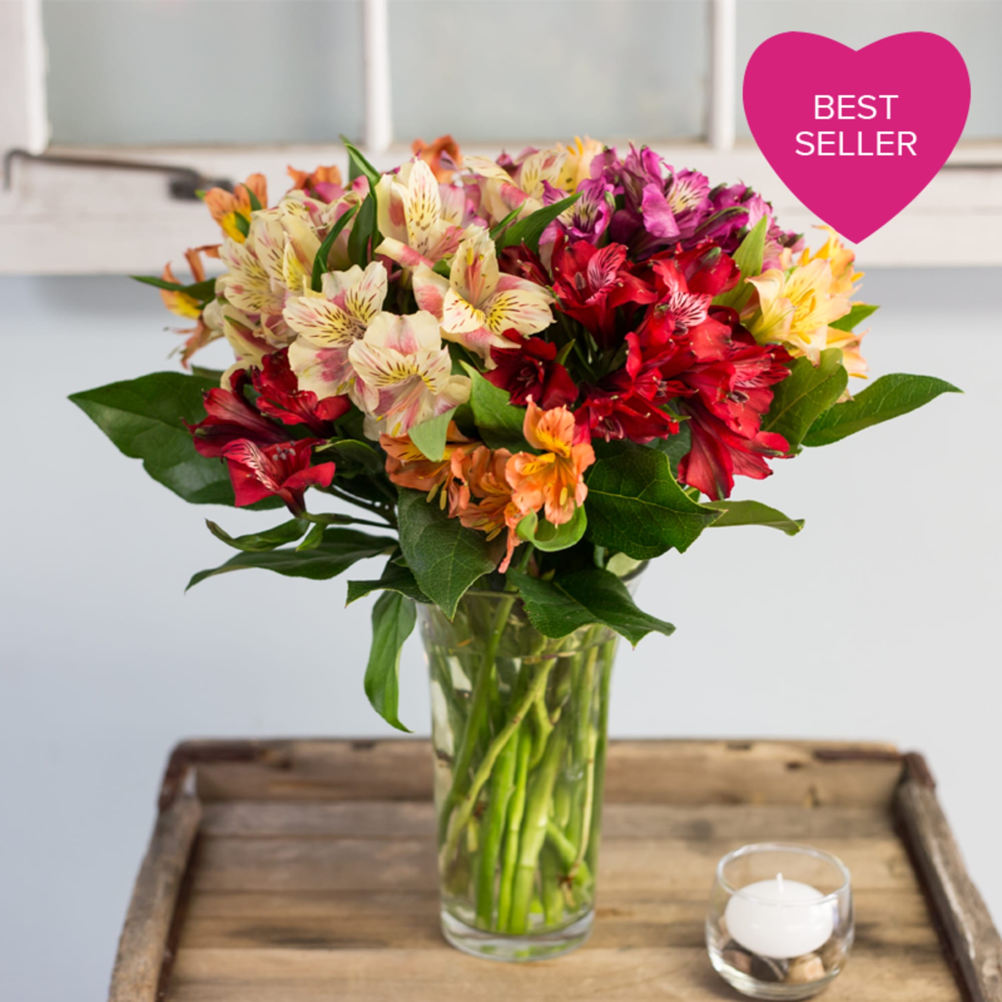 A vase is filled with an assortment of colors of alstroemeria. Very