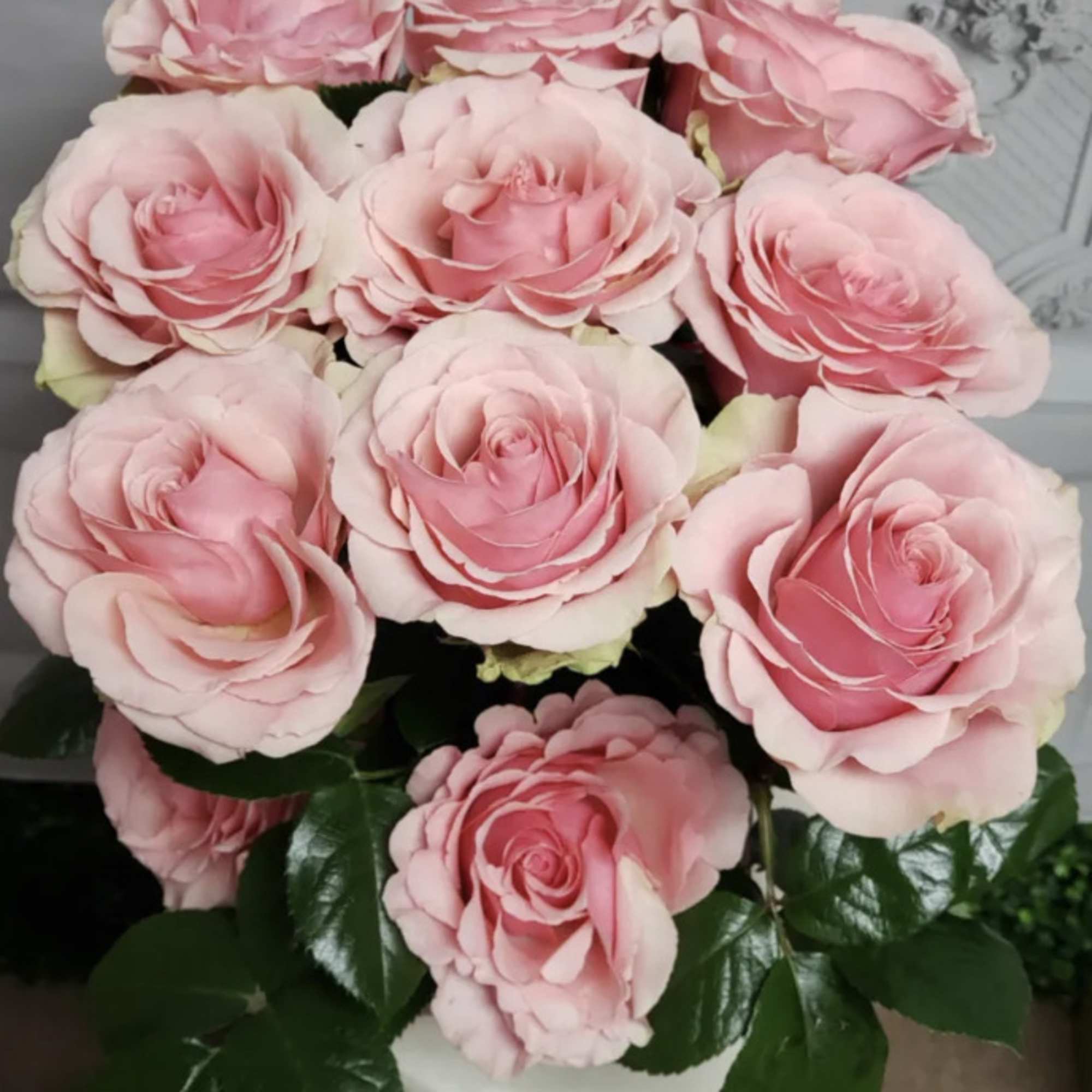 14 Fourteen Large Bloom Pink Roses placed elegantly in a Cubed Glass