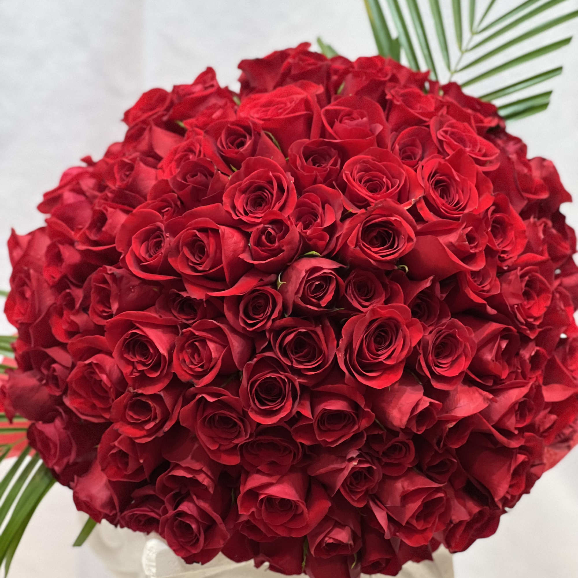 Indulge your senses with the enchanting beauty and heavenly fragrance of the Indulge your senses with the enchanting beauty and heavenly fragrance of the