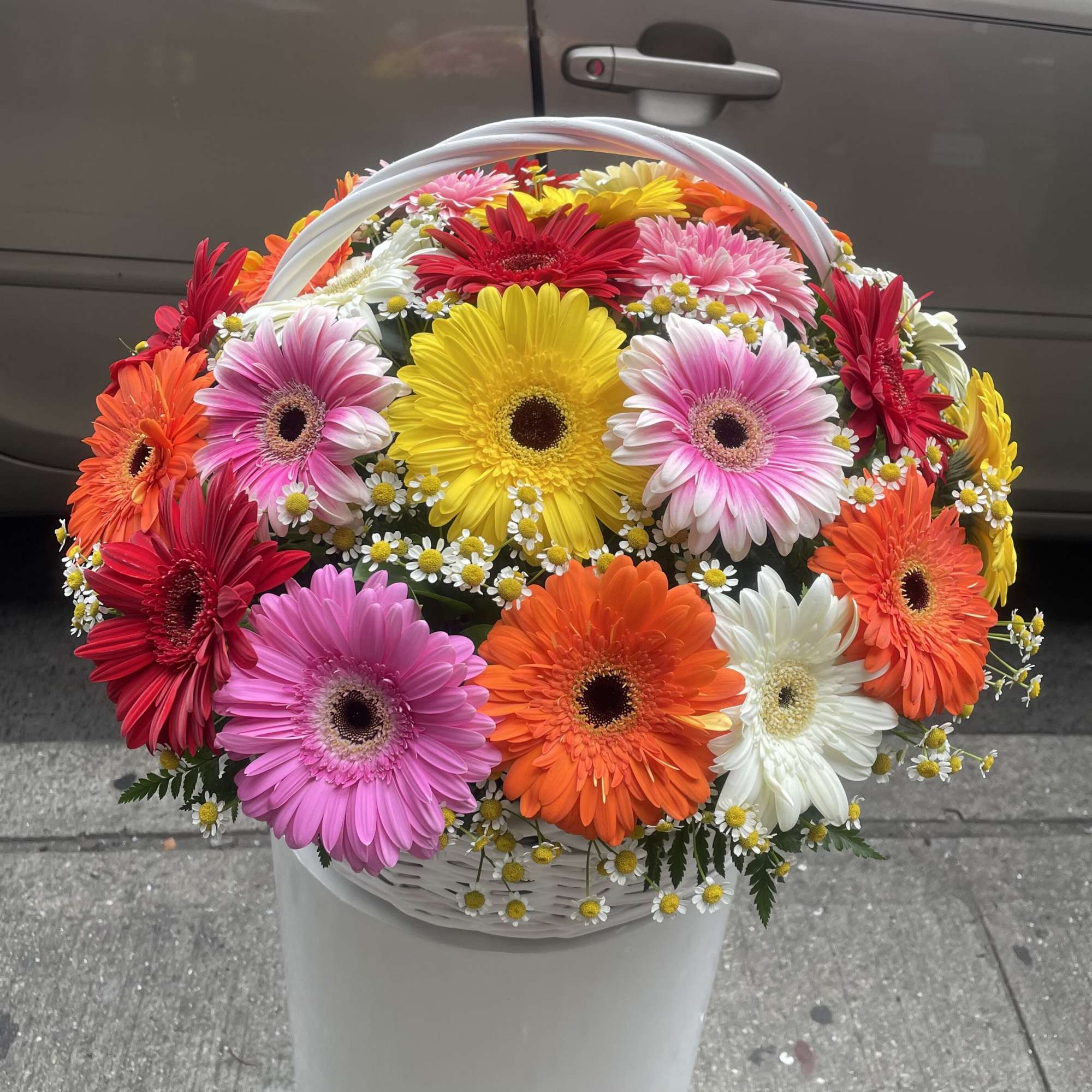 The photo shows a deluxe size.