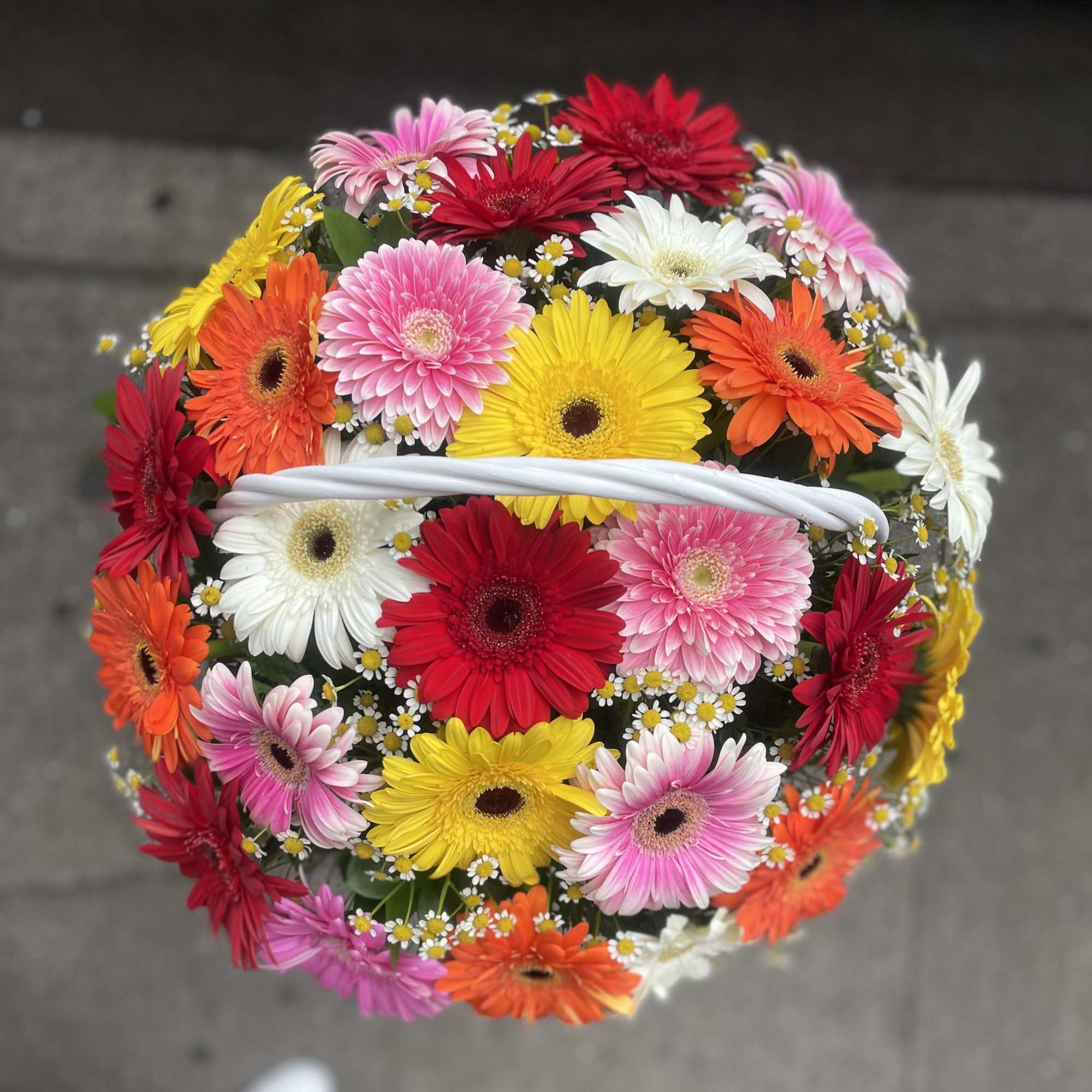 The photo shows a deluxe size.