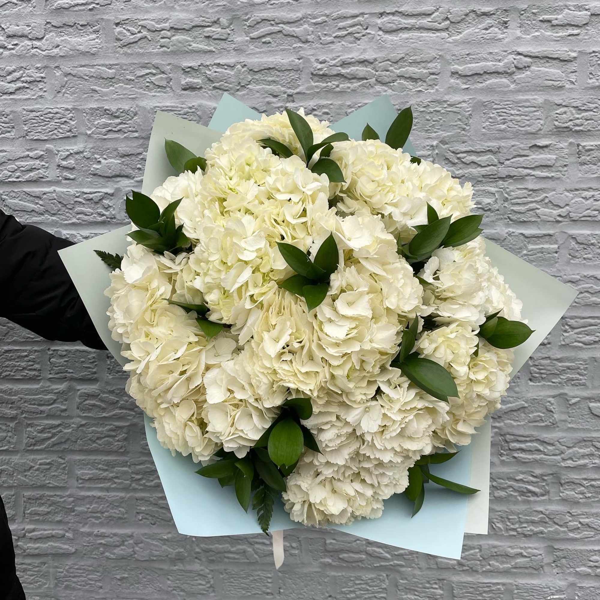 The photo shows a standard size. The photo shows a standard size.