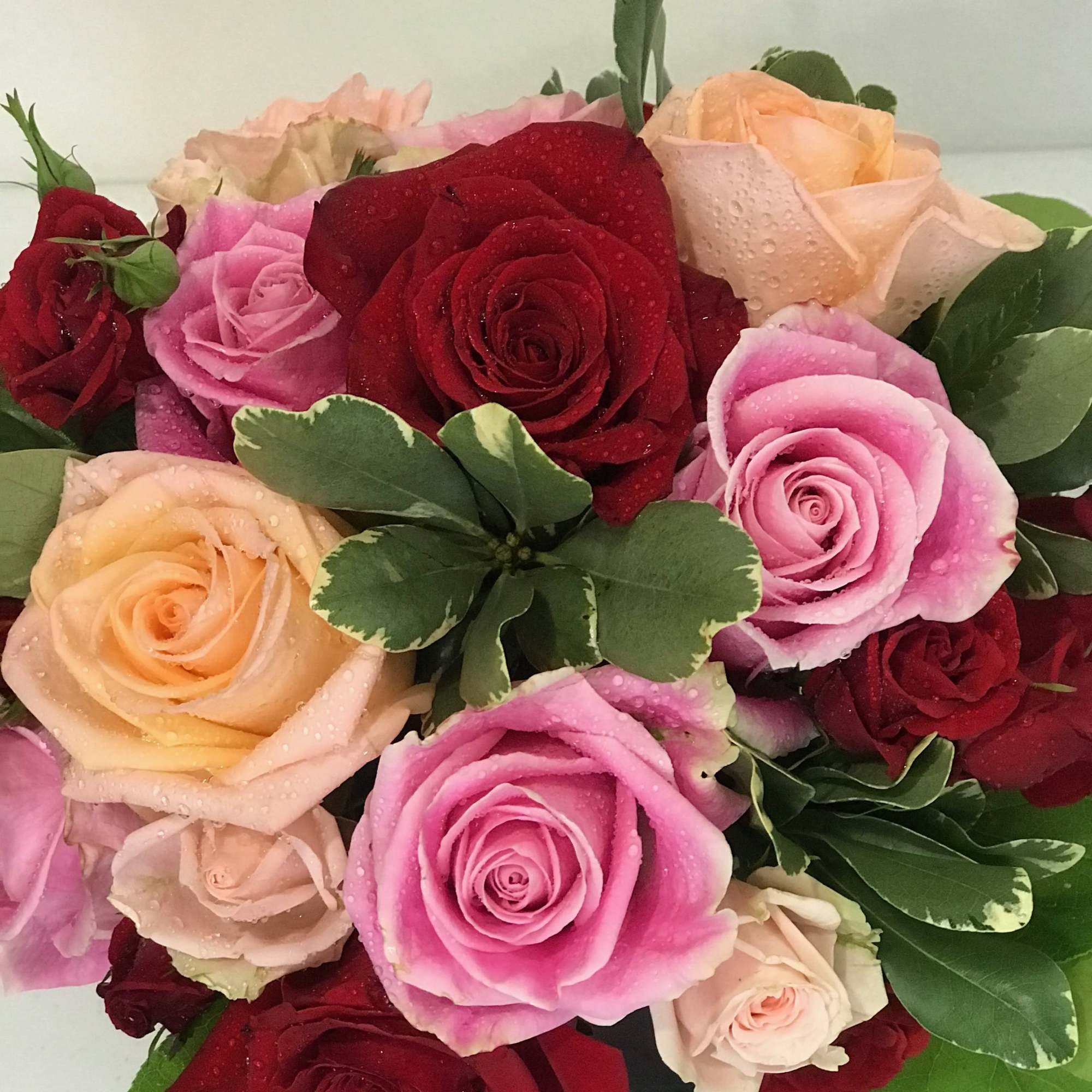 Surprise her with roses in four gorgeous shades of love artistically arranged Surprise her with roses in four gorgeous shades of love artistically arranged