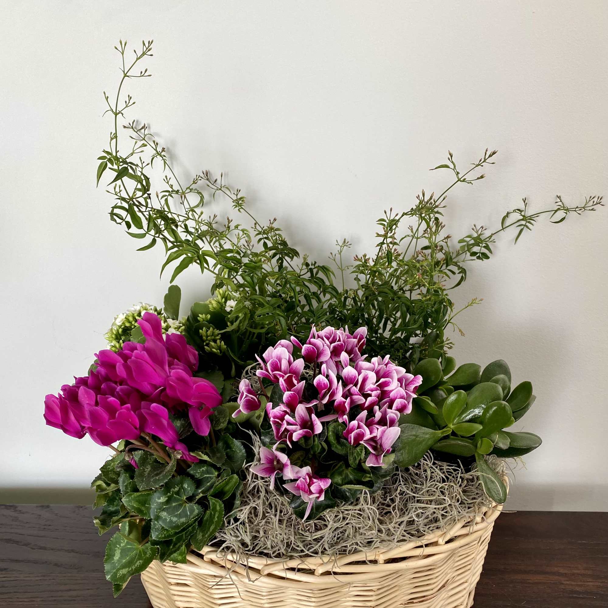 A symphony of elegant blooming plants and greenery plants.  Colors may