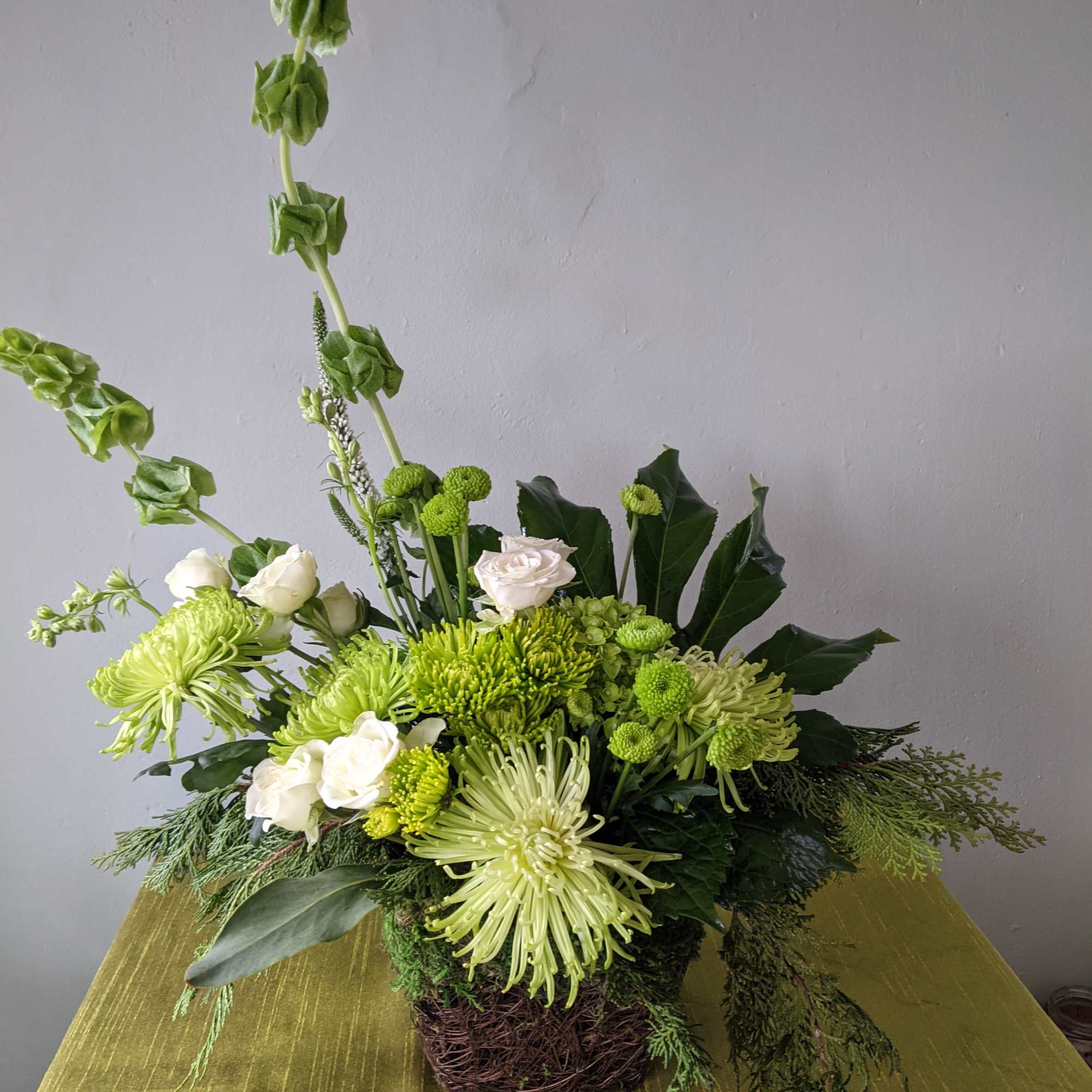 You don&#039;t have to be Irish to celebrate St. Patrick&#039;s Day!! 