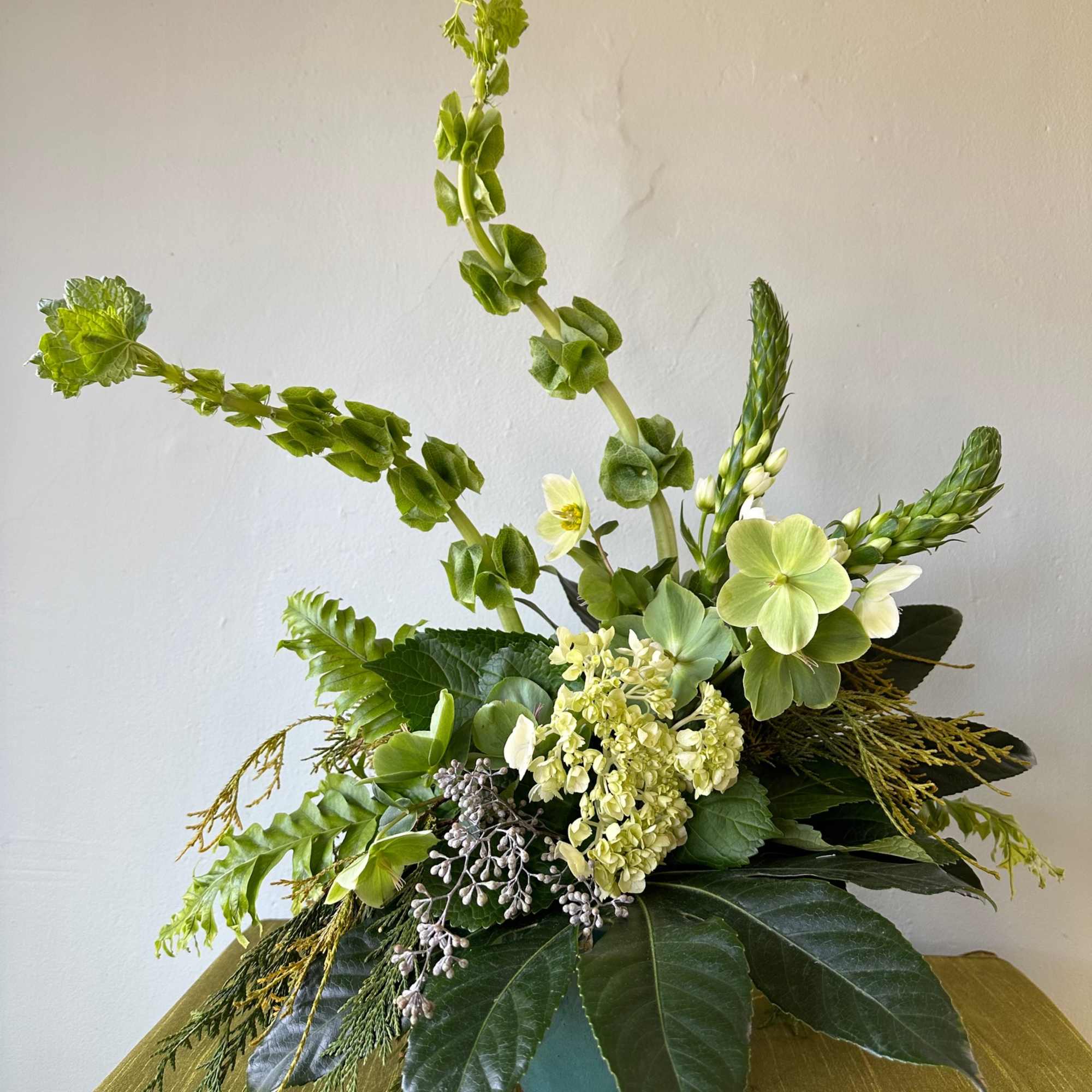 You don&#039;t have to be Irish to celebrate St. Patrick&#039;s Day!! 