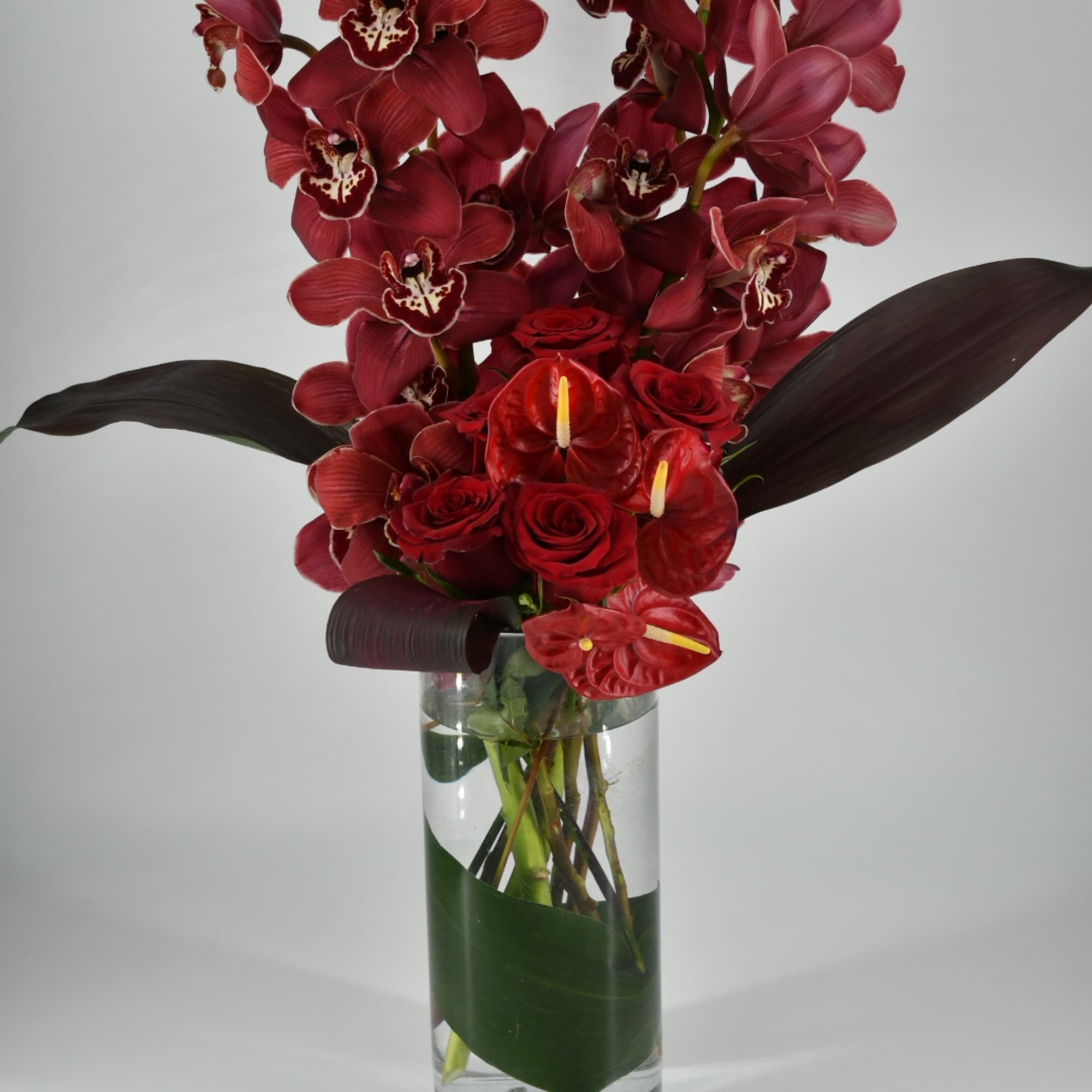 Allow these array of exotic blooms to transport you to the tropical