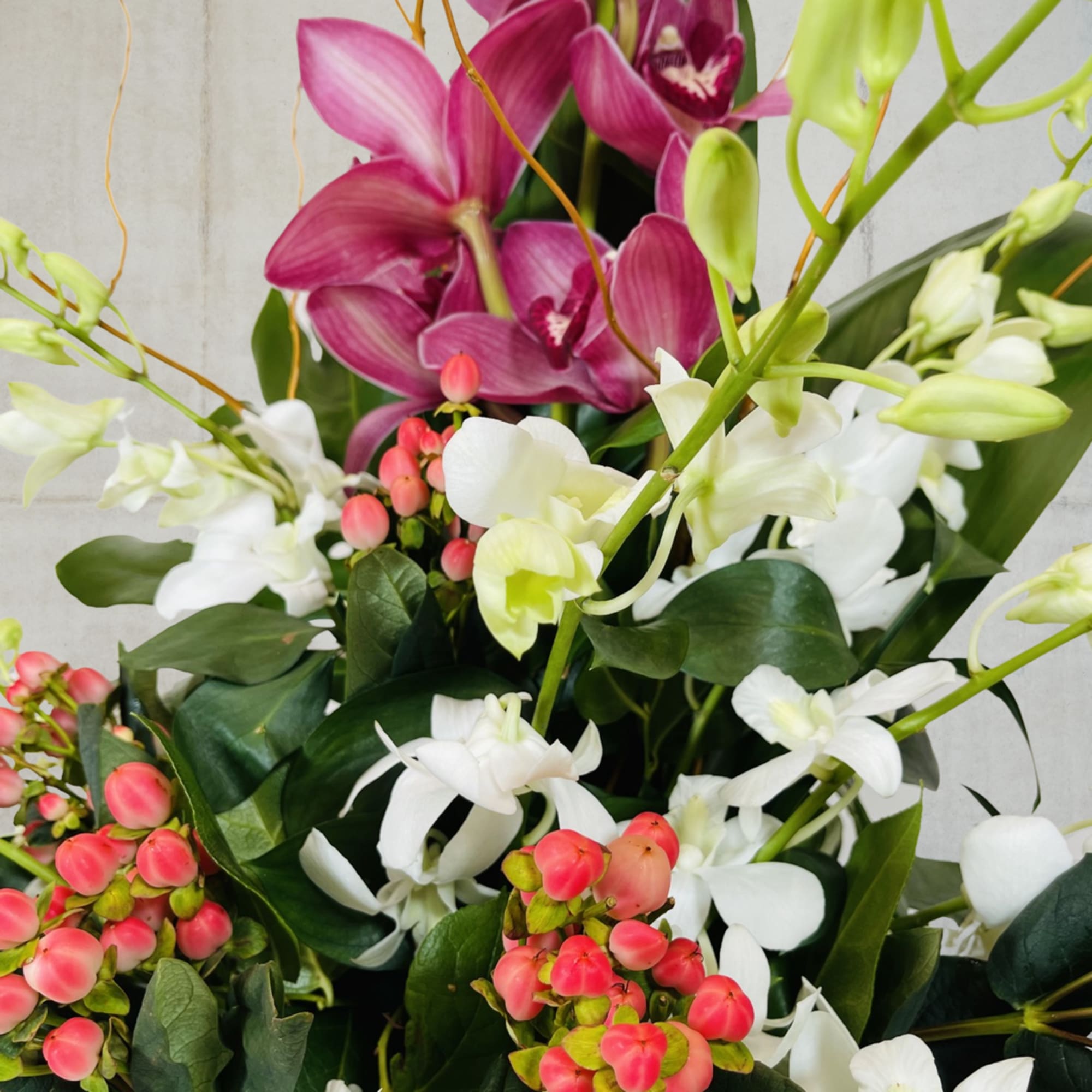 Elevate your gift-giving game with our stunning tall orchid arrangement, featuring cymbidium Elevate your gift-giving game with our stunning tall orchid arrangement, featuring cymbidium