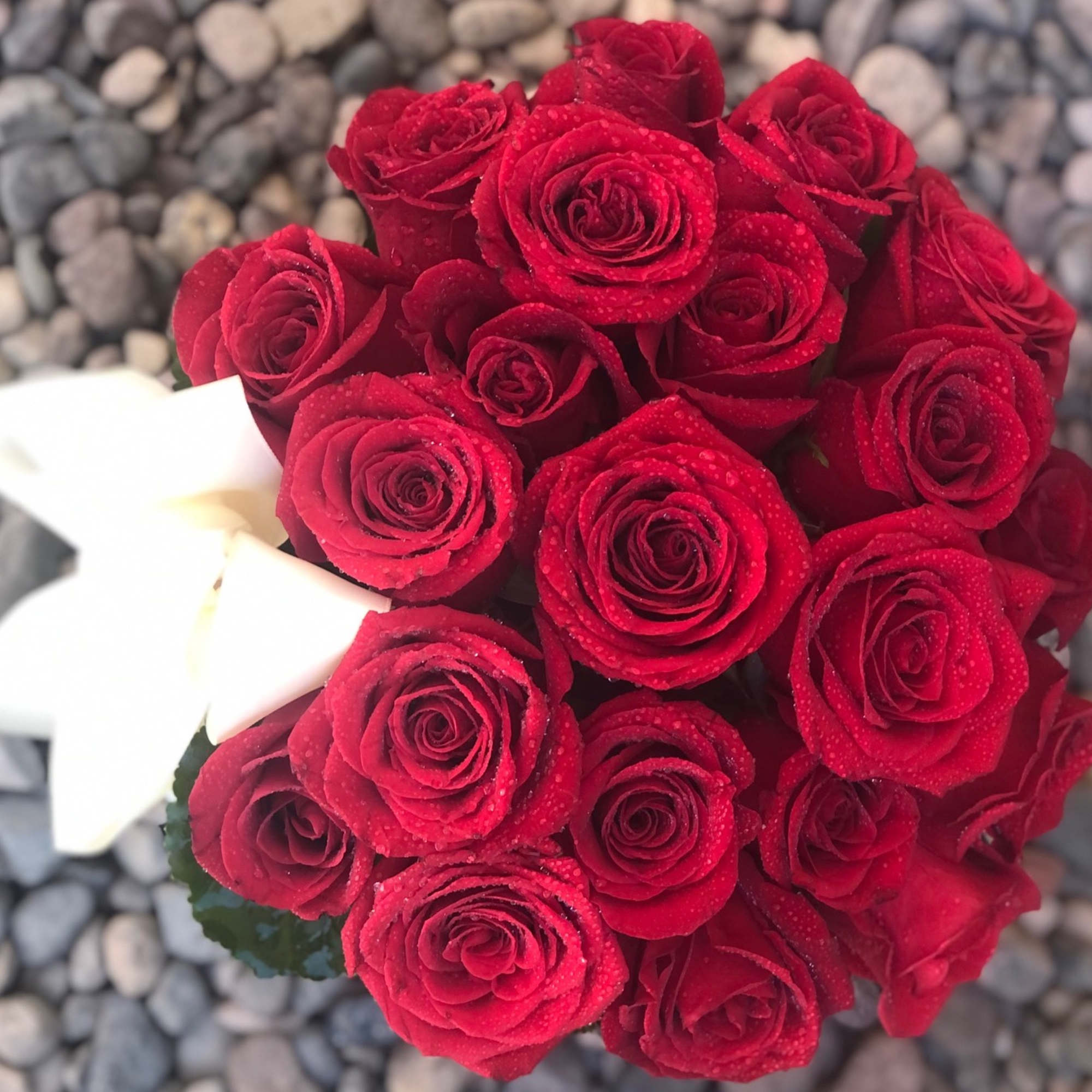 Roses mounded in a beautiful aquamarine, deco style box.