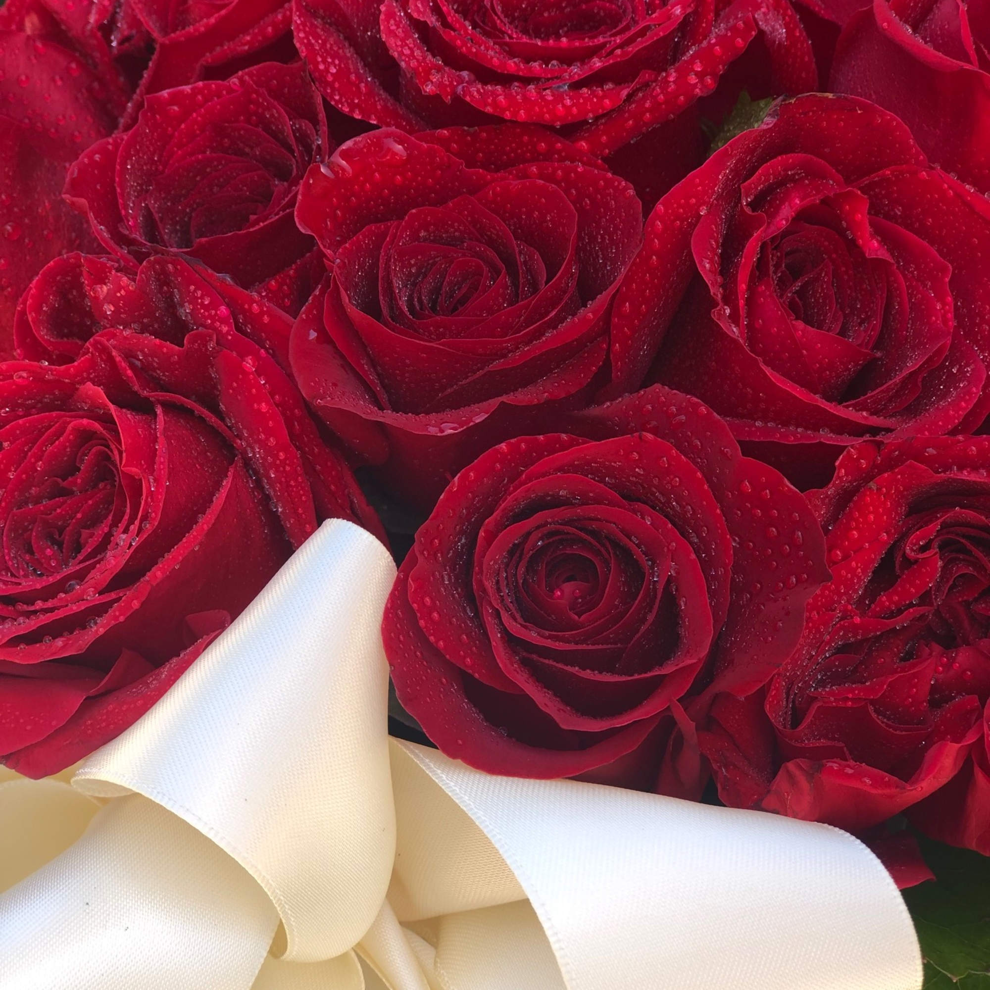 Roses mounded in a beautiful aquamarine, deco style box.