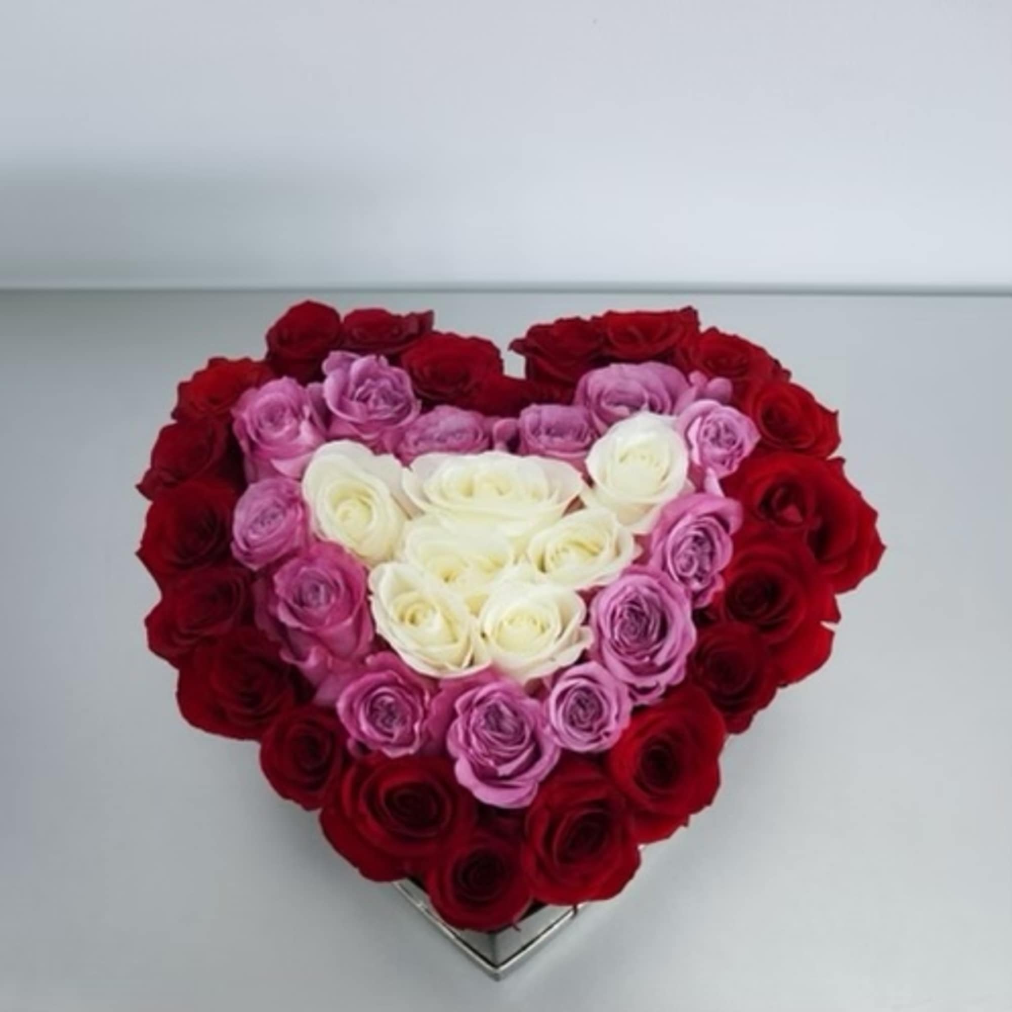 50 Premium Roses white , Lavender and Red 50 Premium Roses white , Lavender and Red
