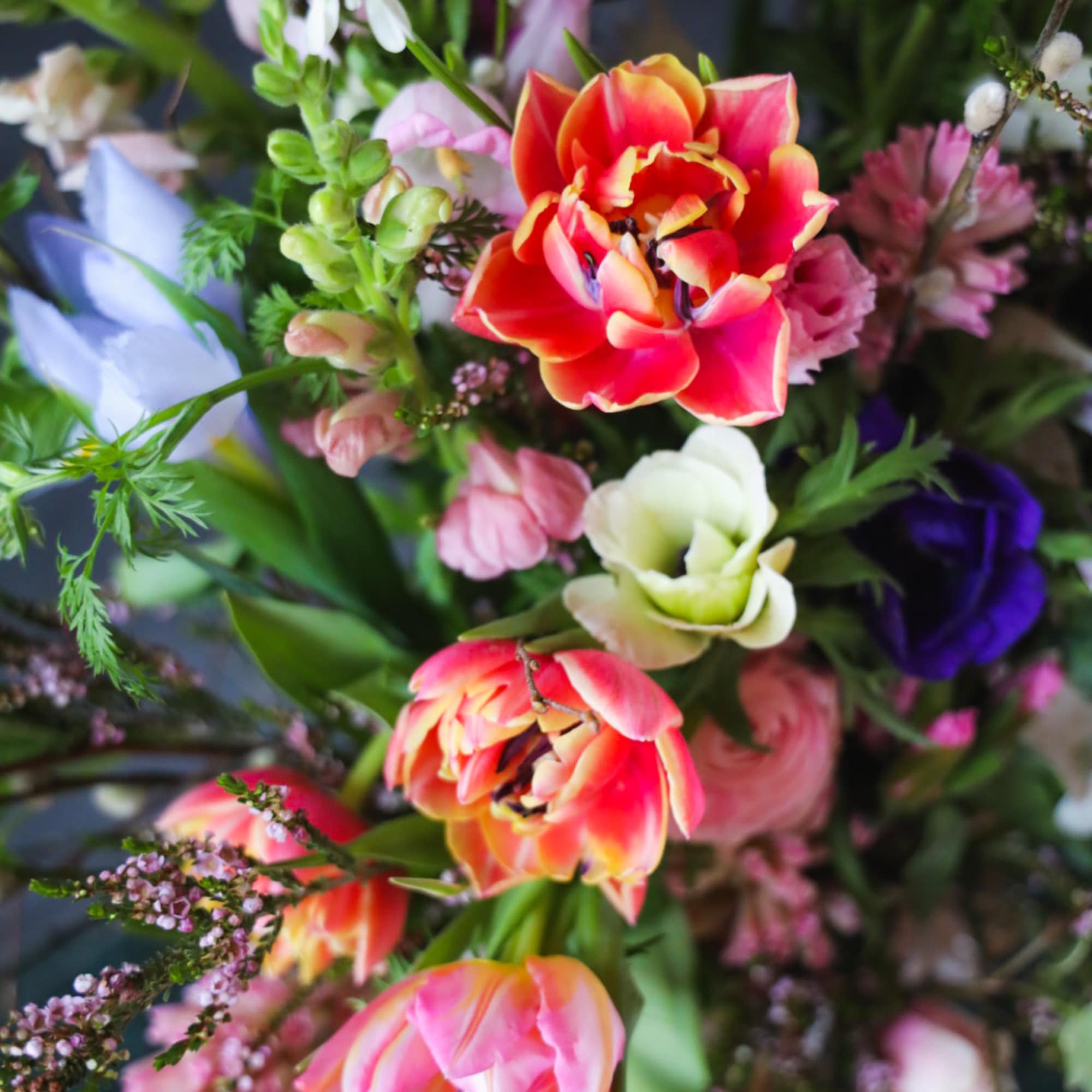 Floral poetry ode to Spring.
Embodying the unfurling Nature of the budding season.
Fragrant