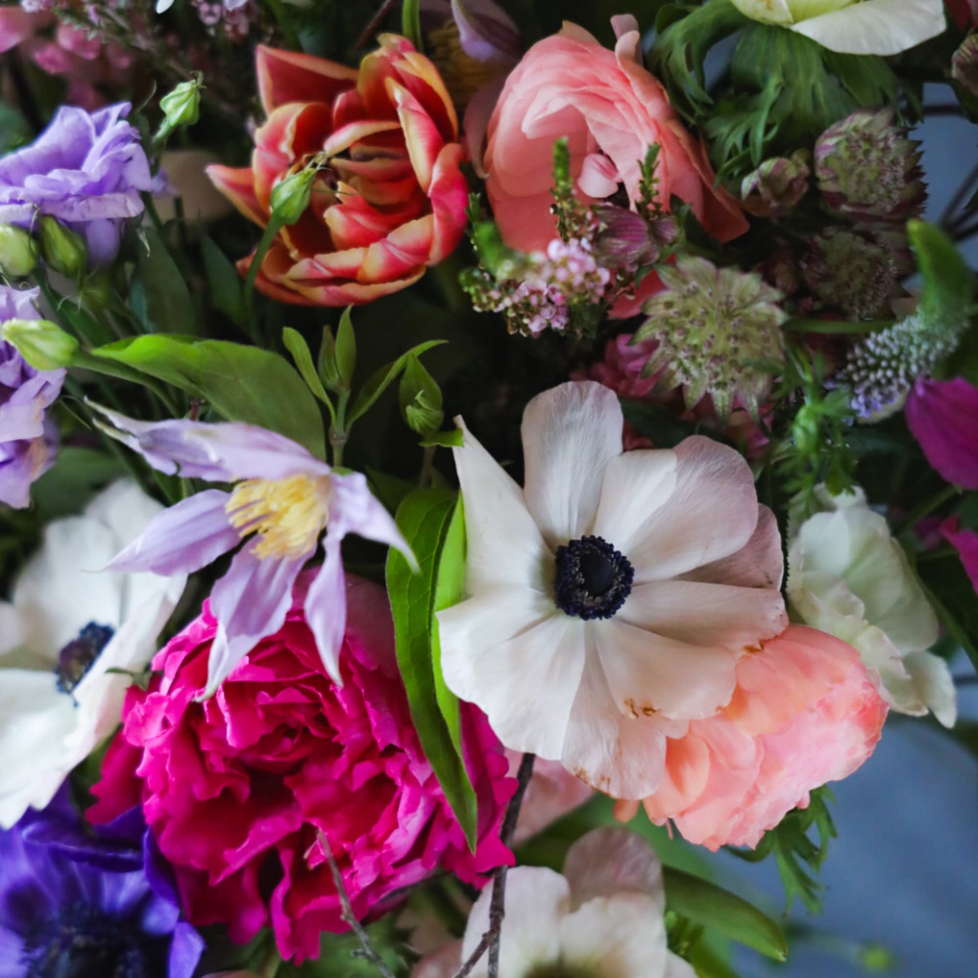 Floral poetry ode to Spring.
Embodying the unfurling Nature of the budding season.
Fragrant