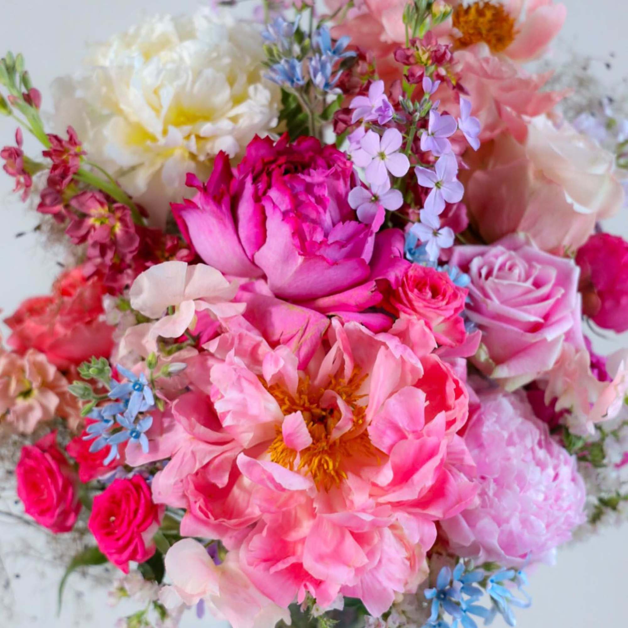 The Sweet Summer Arrangement captures the preciousness of the peak season, full