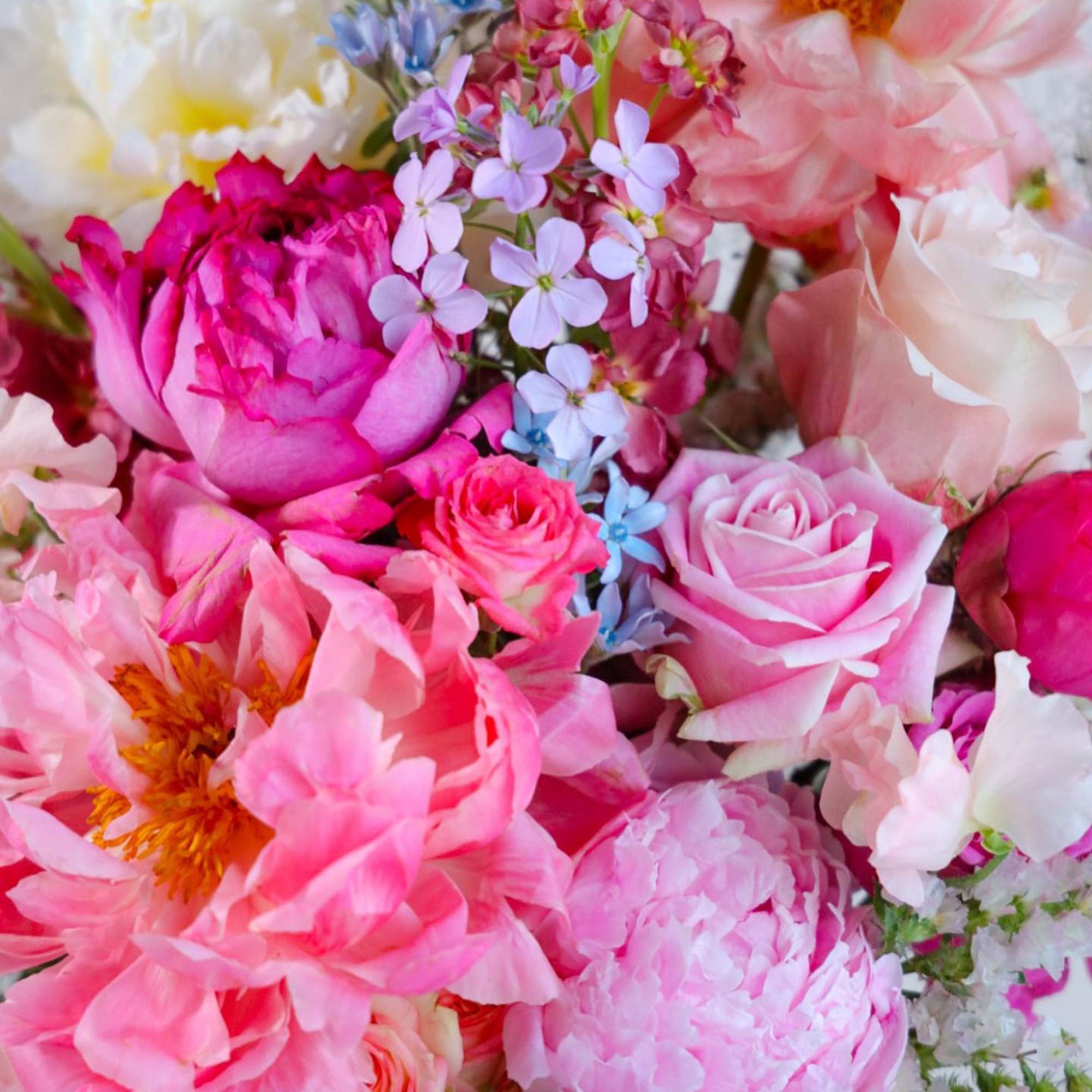 The Sweet Summer Arrangement captures the preciousness of the peak season, full