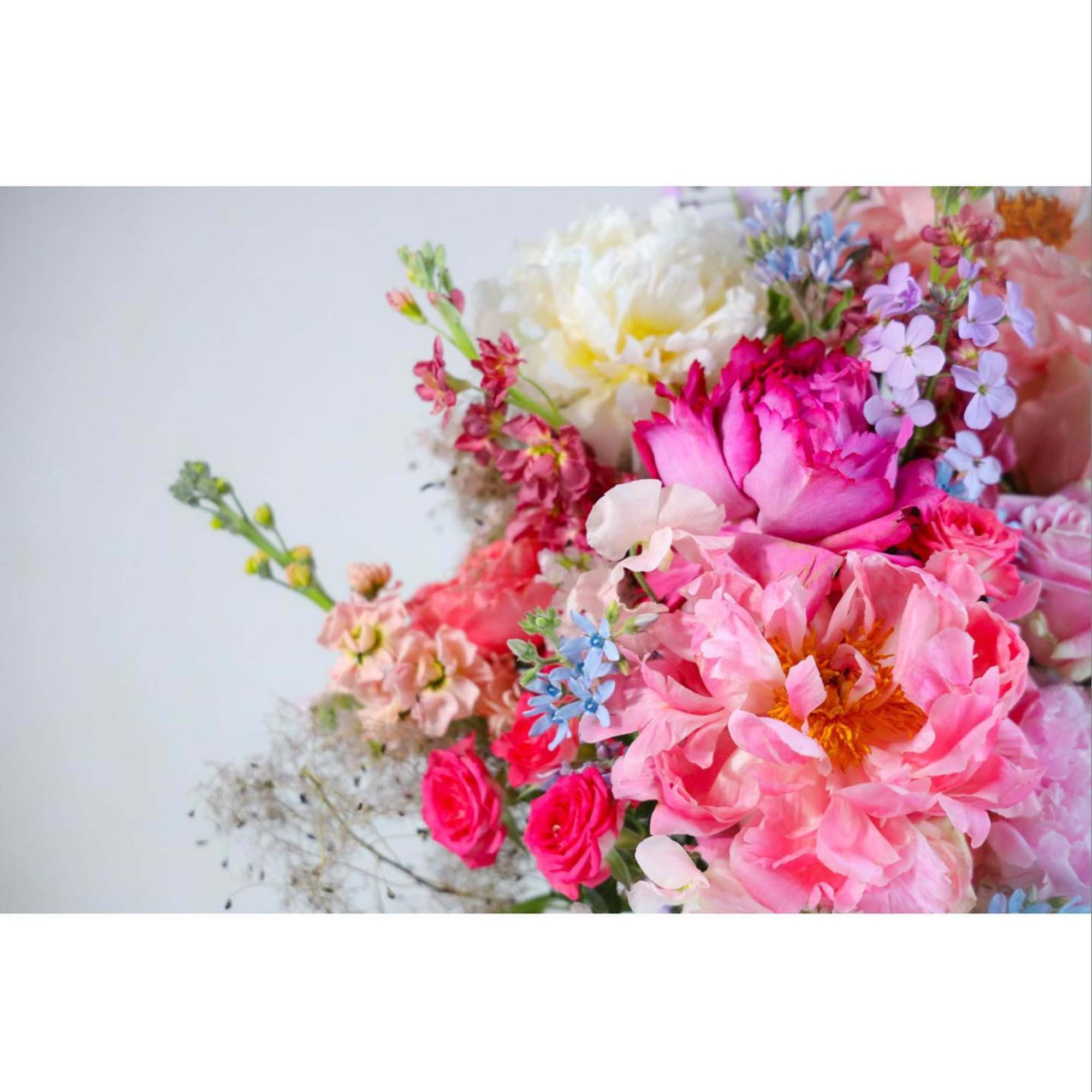 The Sweet Summer Arrangement captures the preciousness of the peak season, full