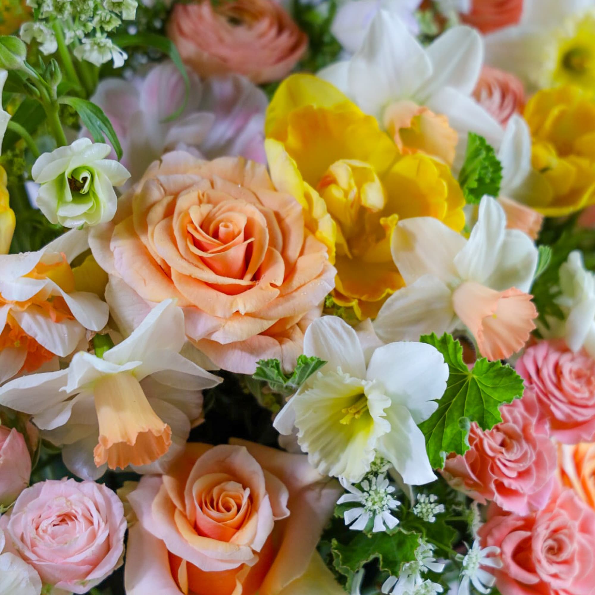 Meet The Golden Pavillion. 
With Spring reveling vibes, candlit patio star studded