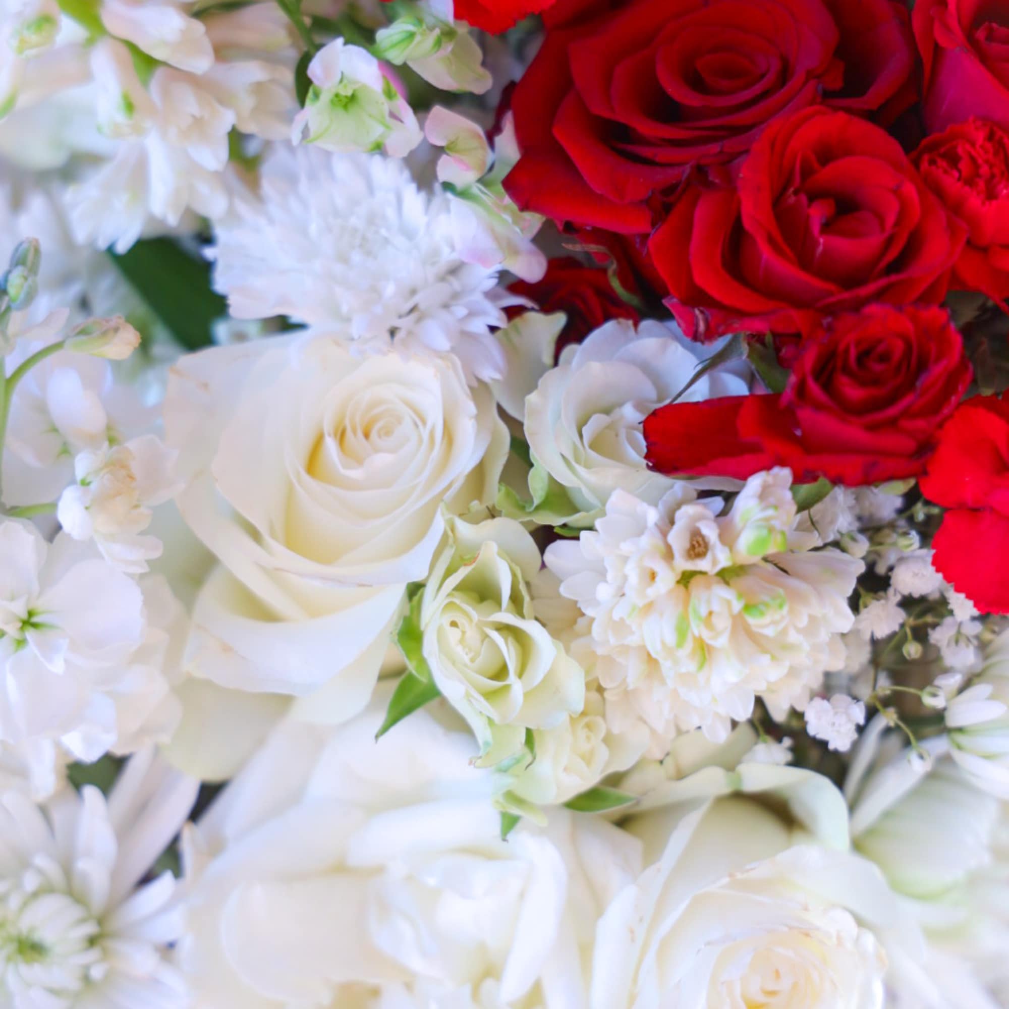 Gatekeeper Butterfly Arrangement
The key to the heart. The beloved is the gatekeeper