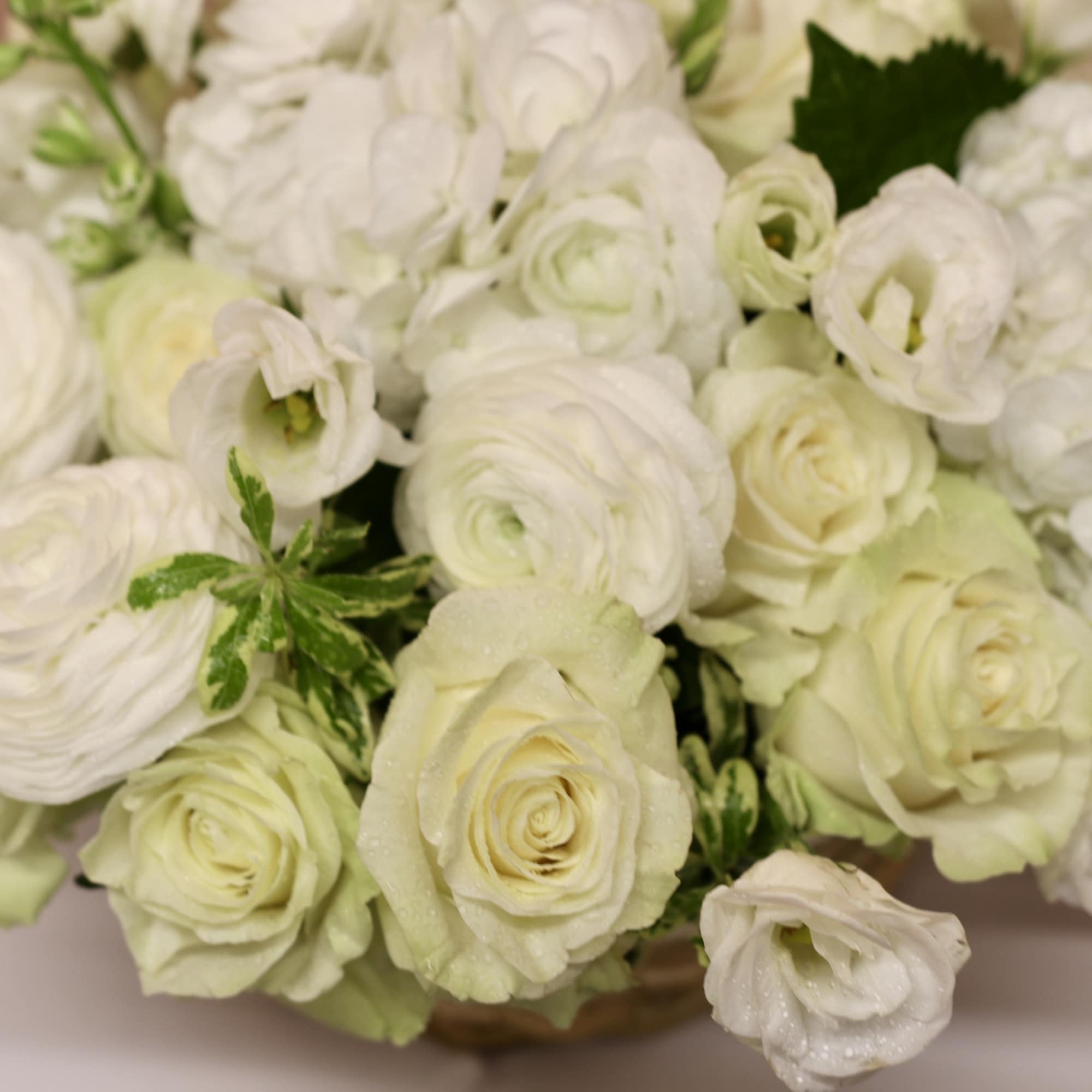 Meet 'Silk Lace' – a lovely flower basket that's more than just Meet 'Silk Lace' – a lovely flower basket that's more than just