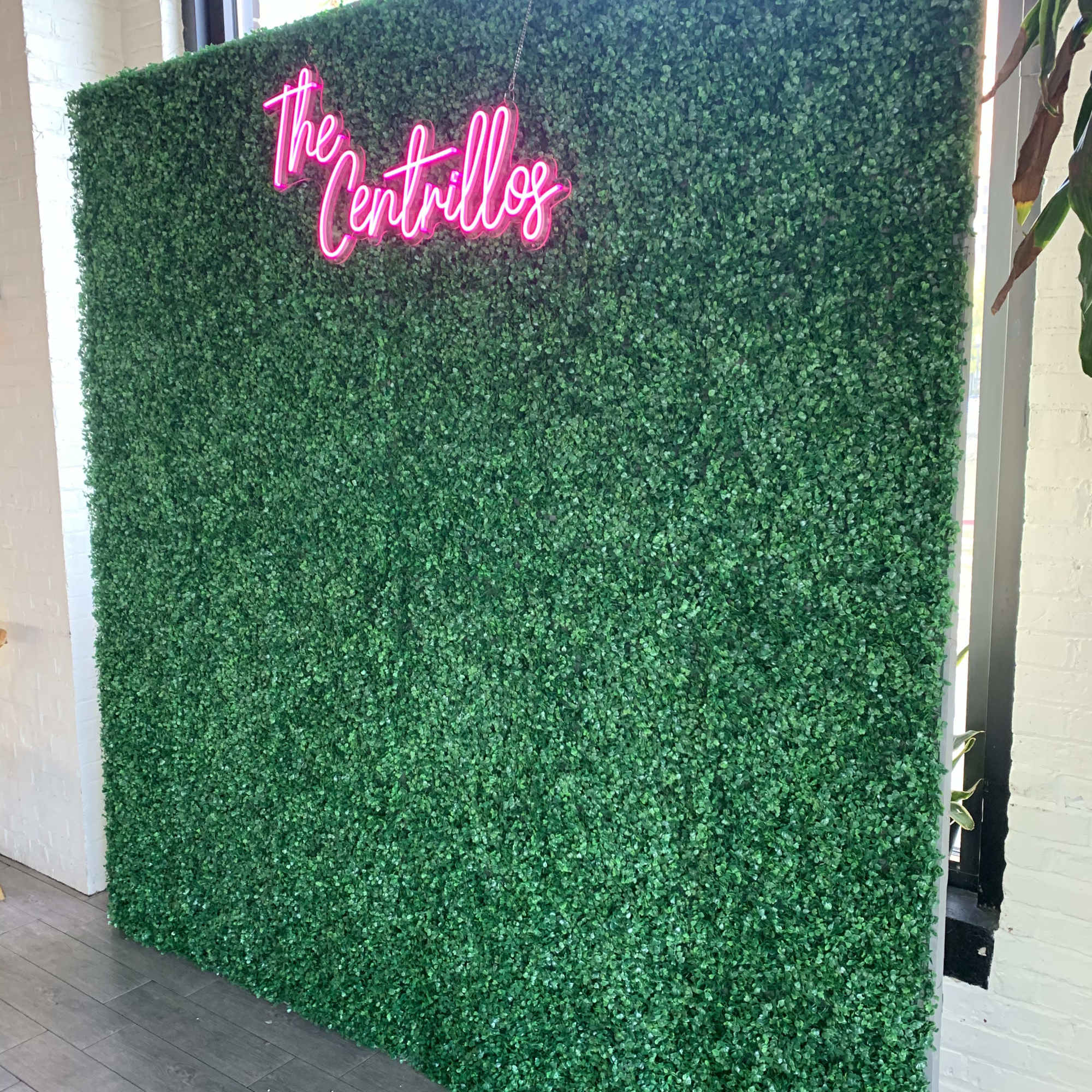 Boxwood wall for rent for your wedding, baby shower or birthday party. Boxwood wall for rent for your wedding, baby shower or birthday party.