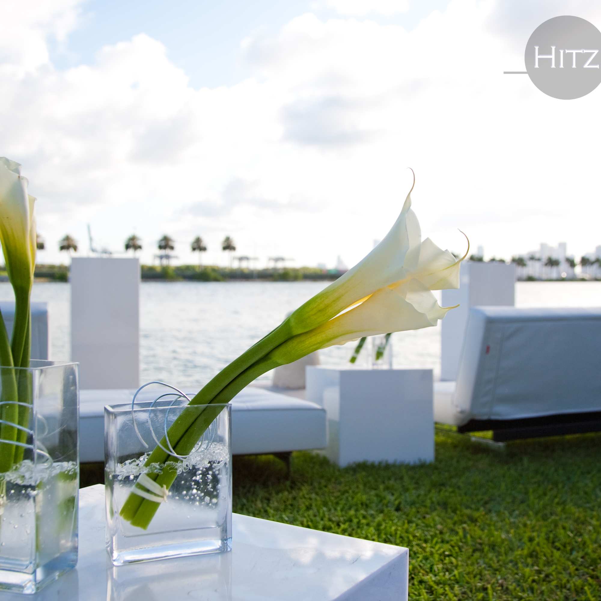 Arrangements for weddings, arches, centerpieces, bride's bouquet, salon's decor (price may change Arrangements for weddings, arches, centerpieces, bride's bouquet, salon's decor (price may change