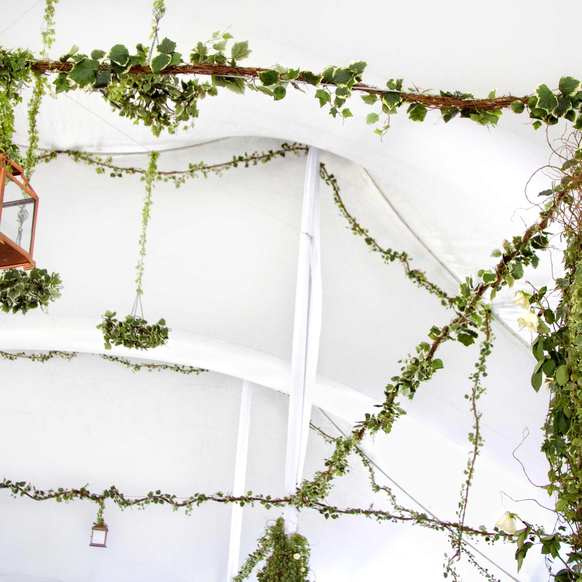 Arrangements for weddings, arches, centerpieces, bride's bouquet, salon's decor (price may change Arrangements for weddings, arches, centerpieces, bride's bouquet, salon's decor (price may change