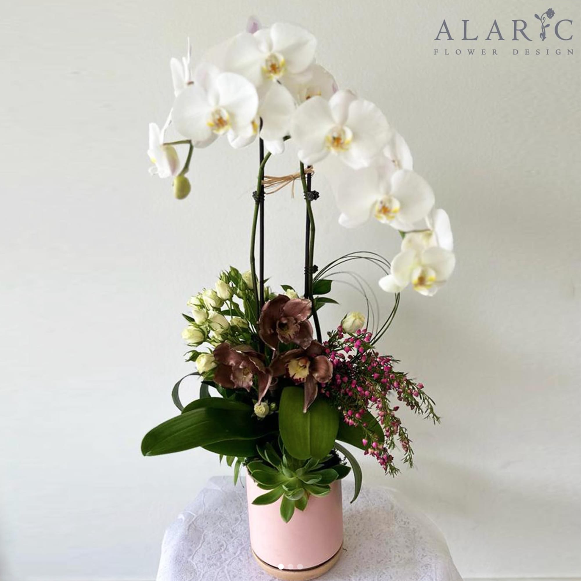 Giving orchids a classy twist with Hannah!