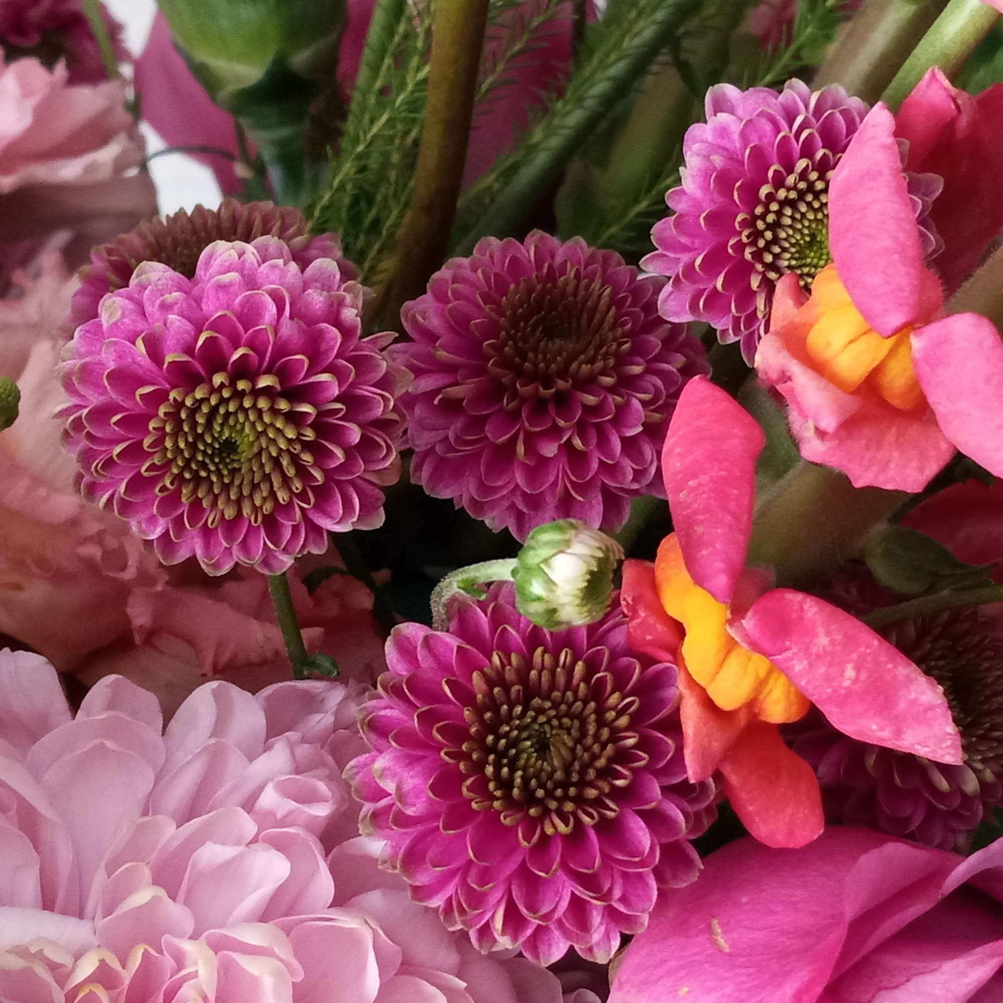 Pretty as can be! Honor their latest accomplishment or celebrate a special