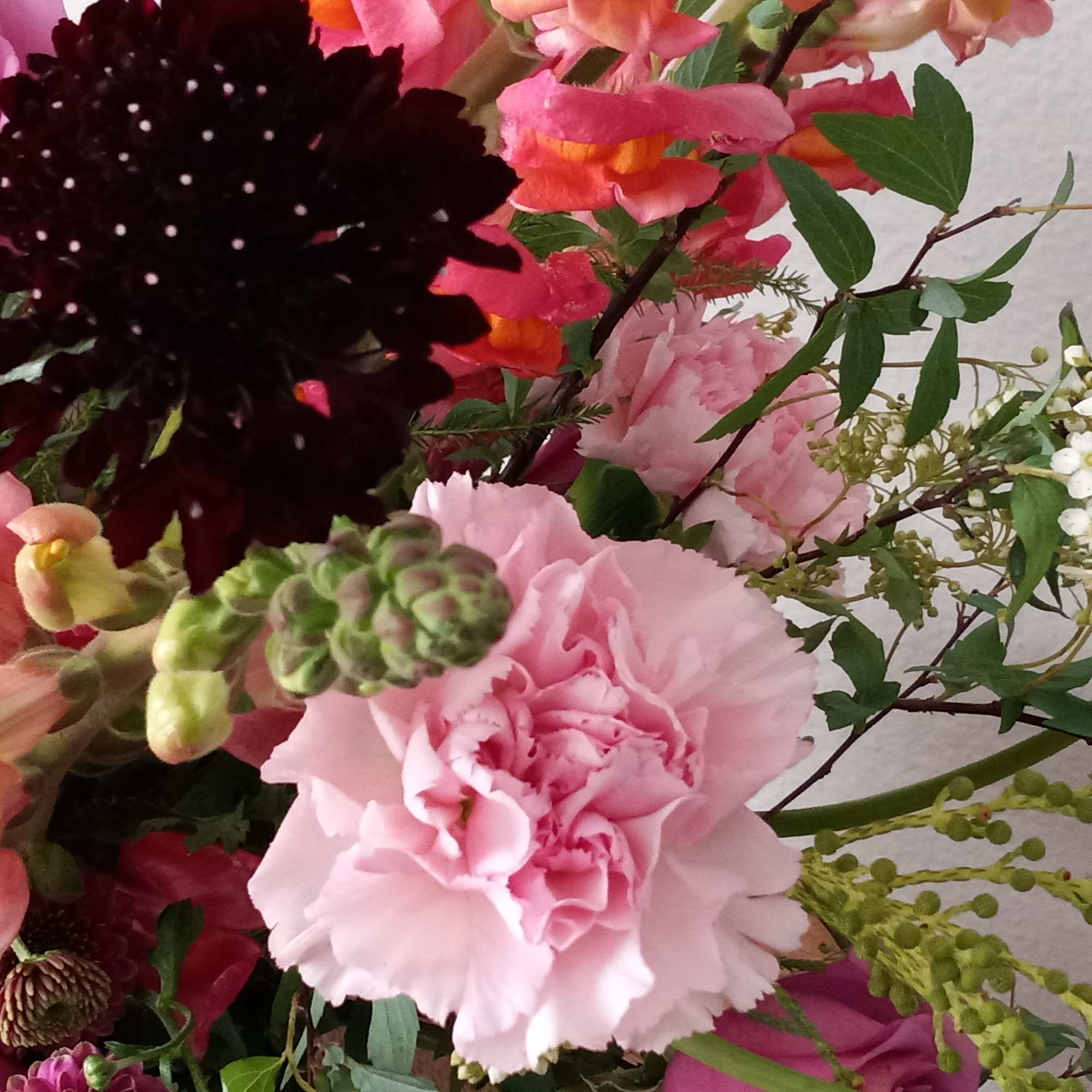 Pretty as can be! Honor their latest accomplishment or celebrate a special