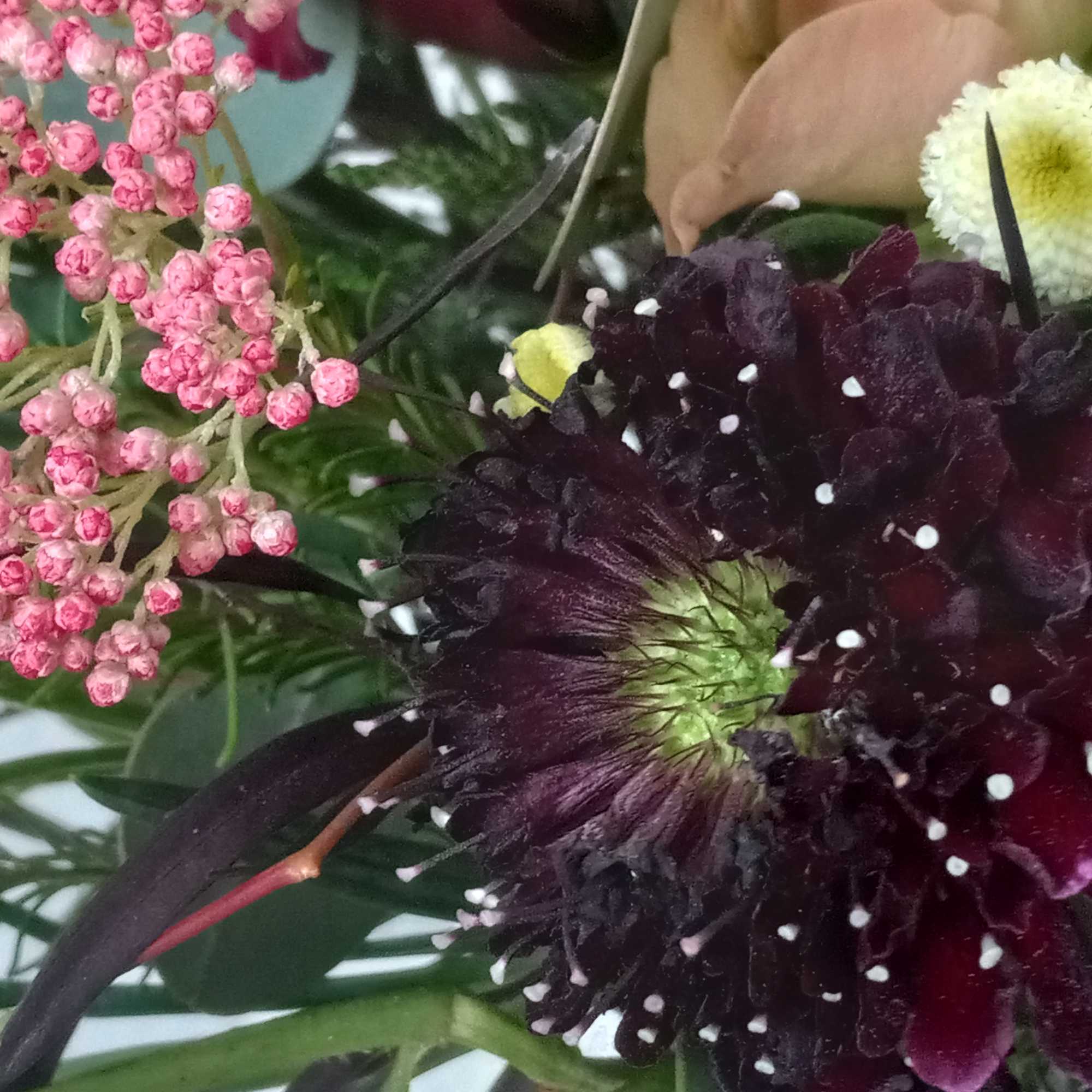 Burgundy lisianthus, and peach spray roses,  all pair organically with assorted