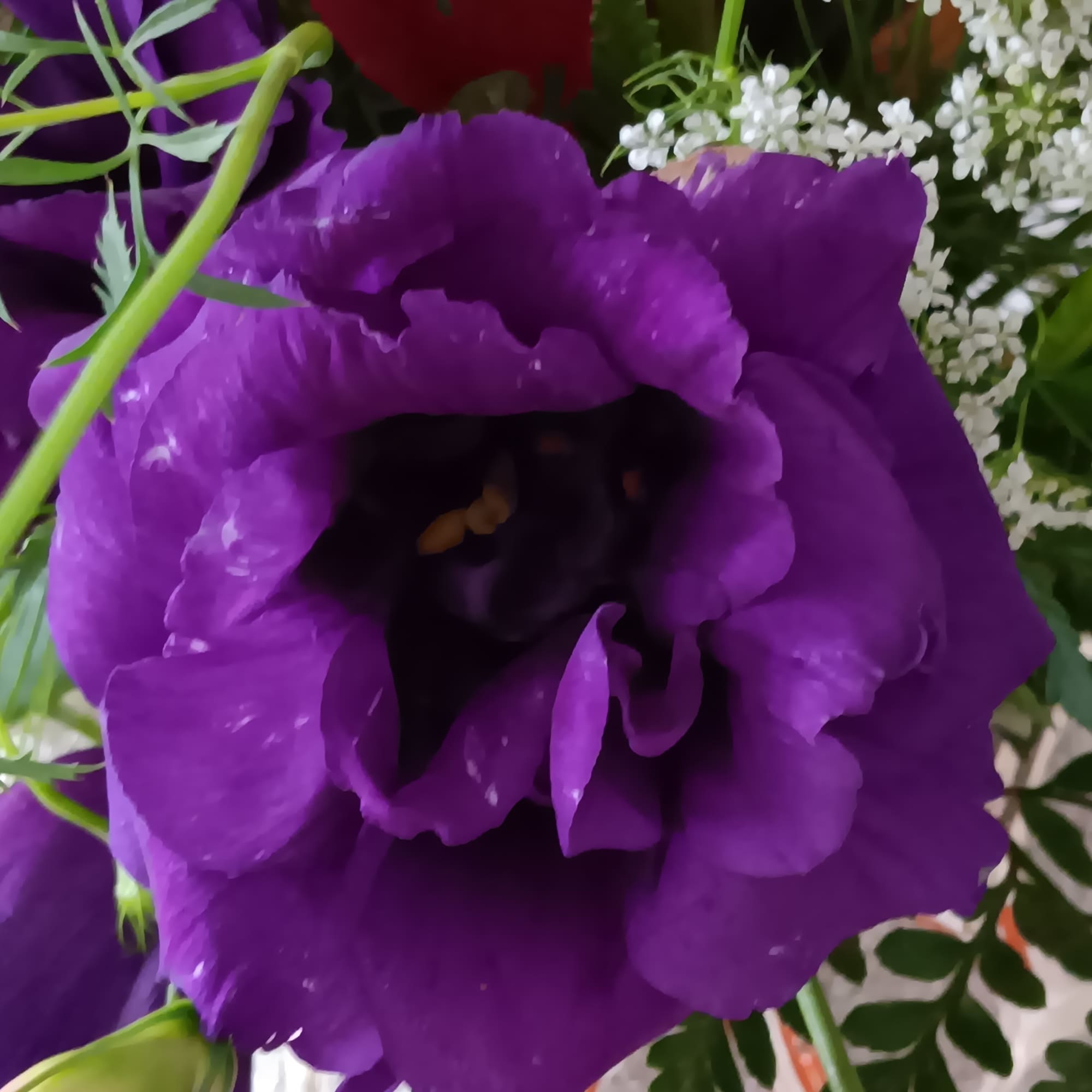 A sunny yellow freesia and yellow roses bouquet gets an autumnal spin