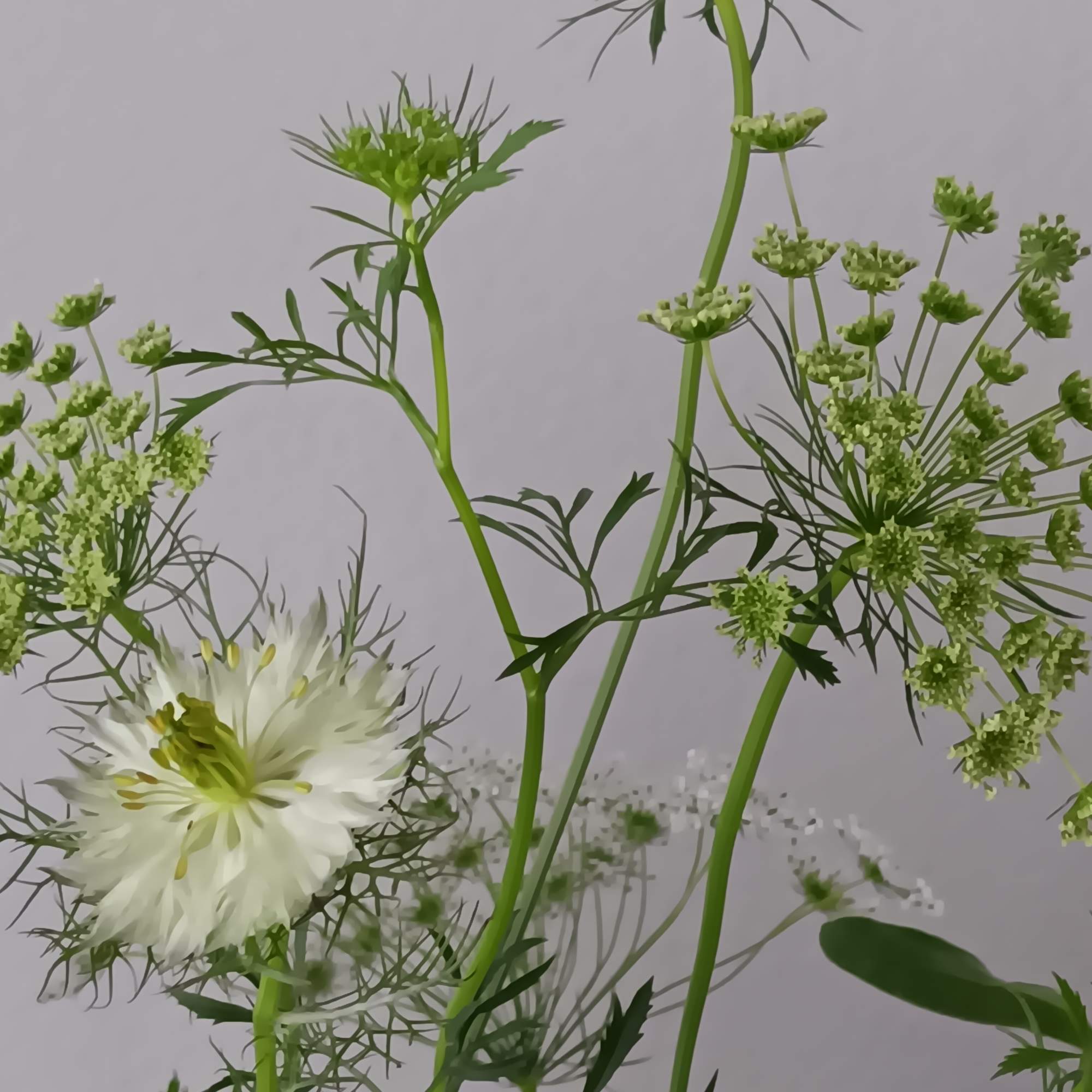 This ethereal arrangement is a calming, peaceful gesture that shows them you