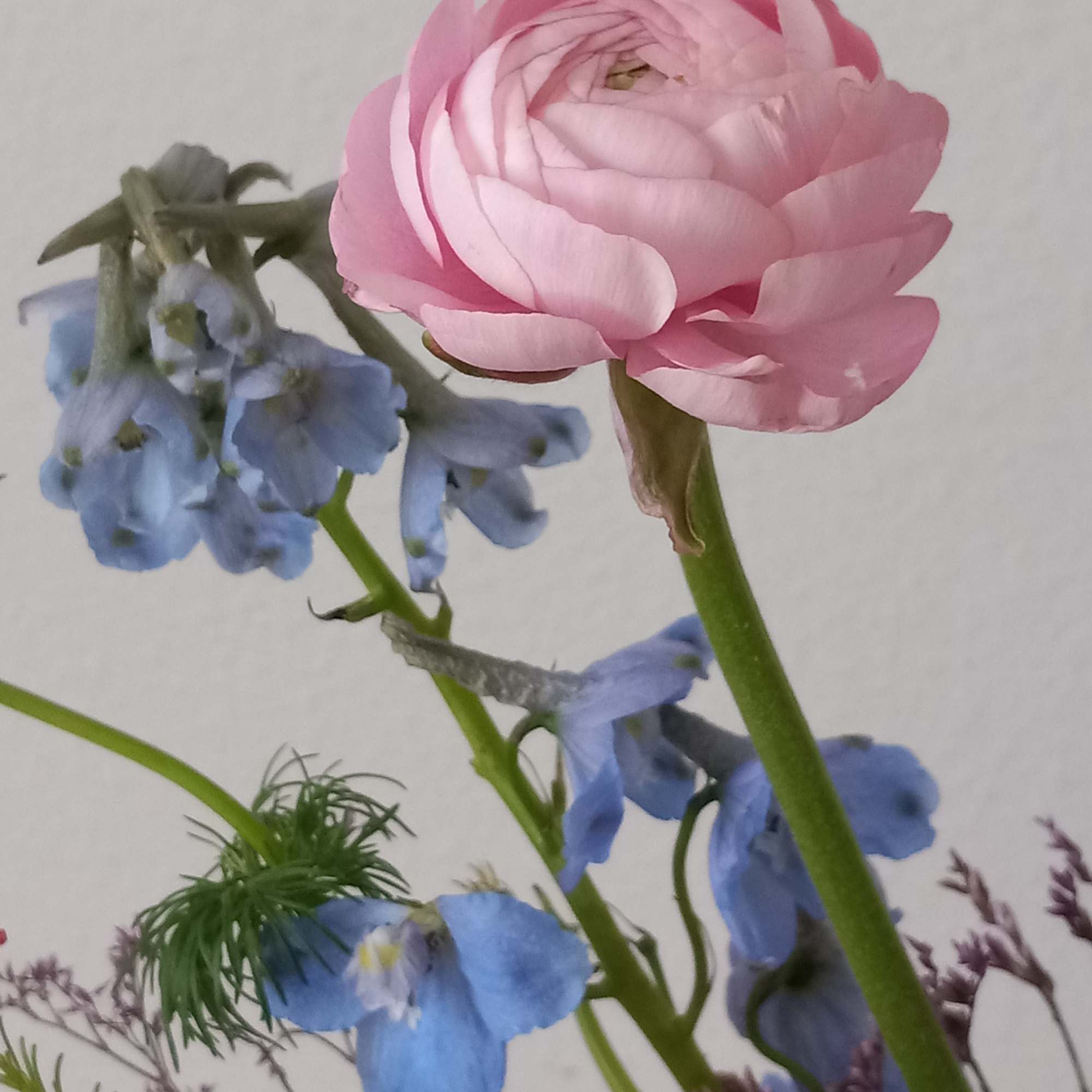 Like wispy clouds in a bright blue sky, this beautiful bouquet of