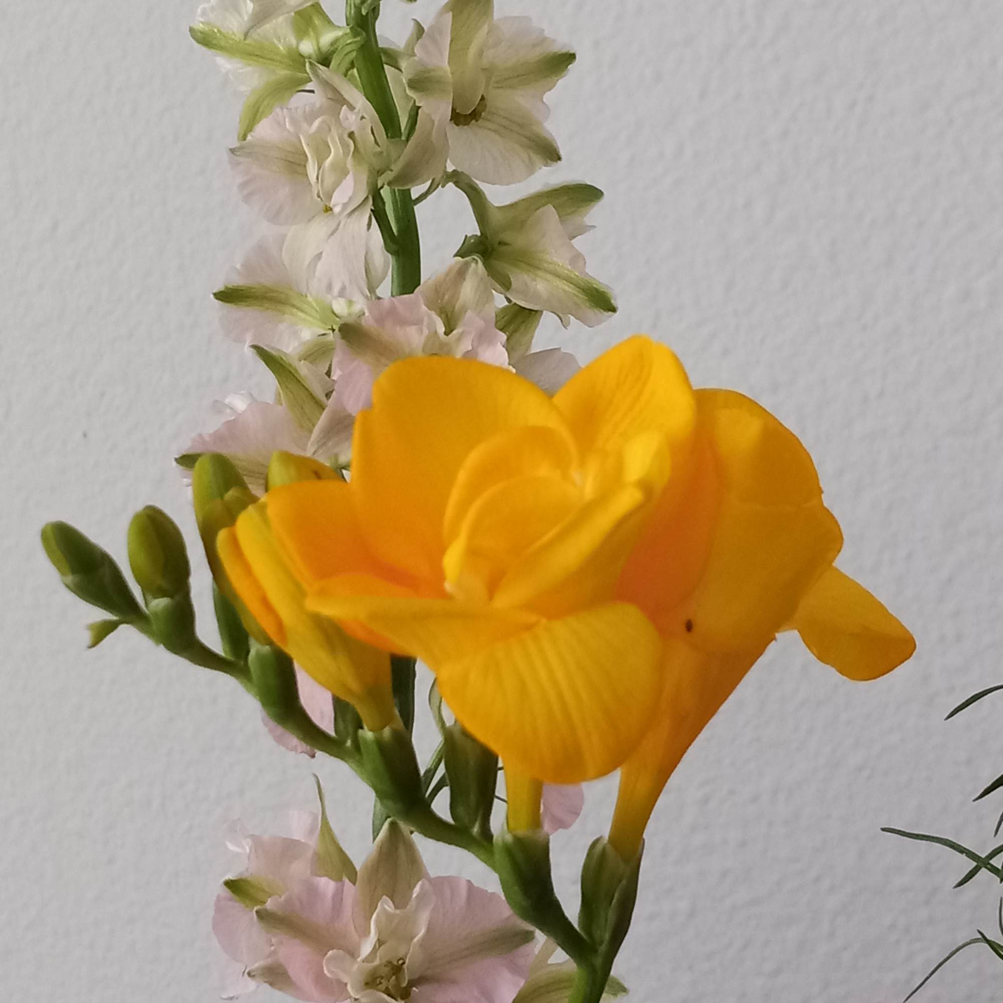 Like wispy clouds in a bright blue sky, this beautiful bouquet of