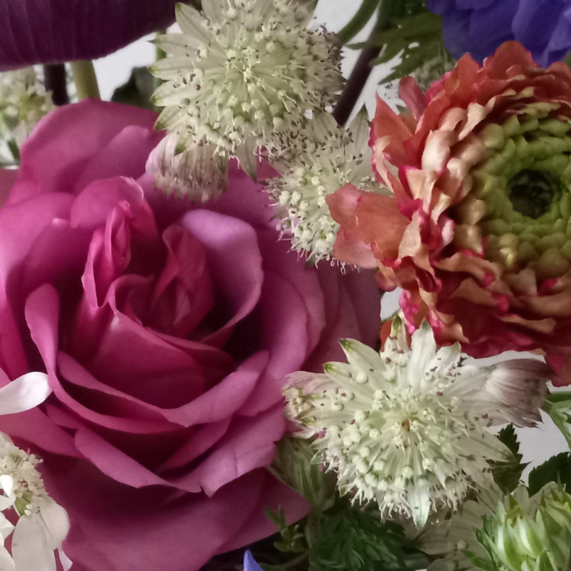 Pretty as can be! Honor their latest accomplishment or celebrate a special