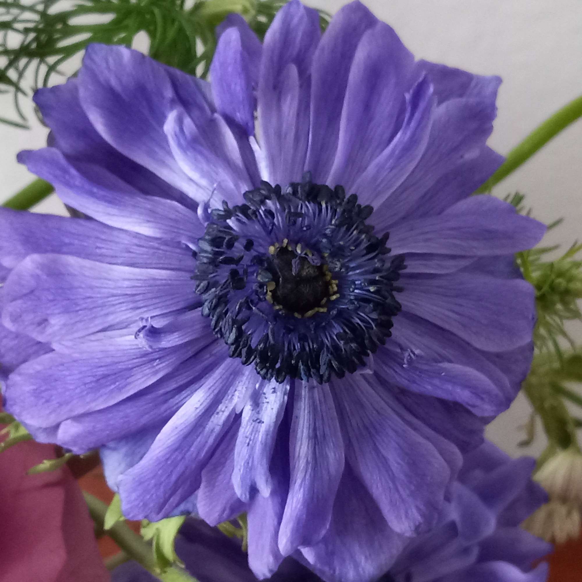 Pretty as can be! Honor their latest accomplishment or celebrate a special