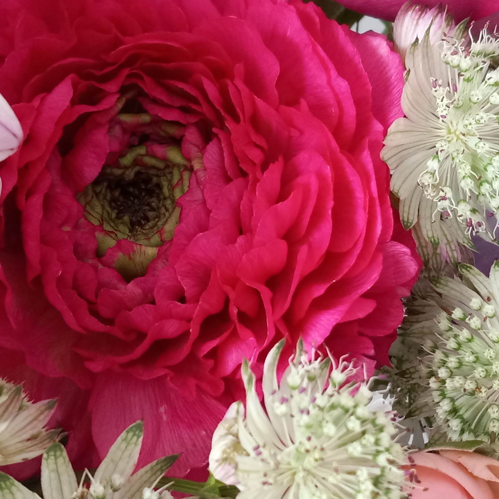 Pretty as can be! Honor their latest accomplishment or celebrate a special