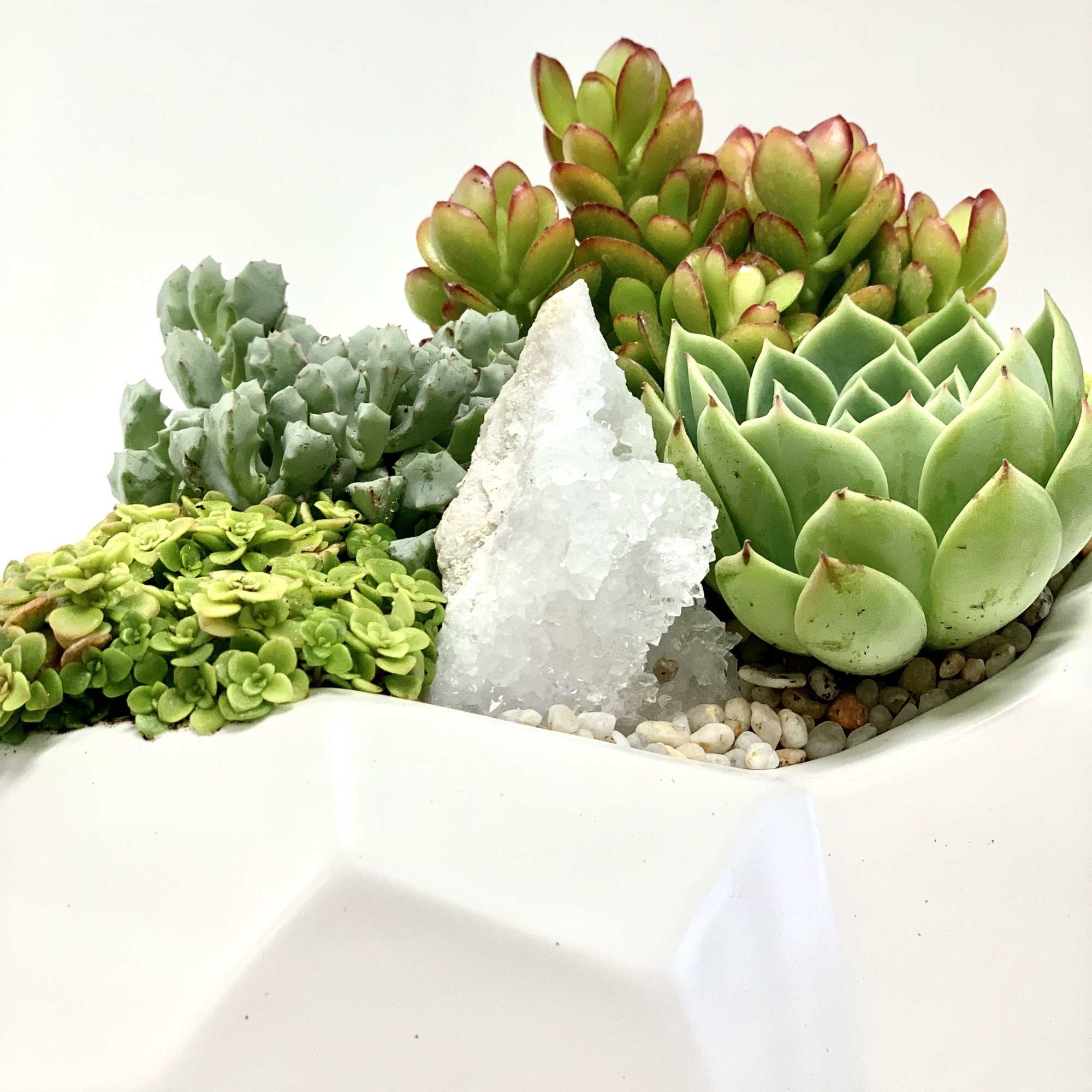 A selection of green succulents and a mid size geode planted in A selection of green succulents and a mid size geode planted in