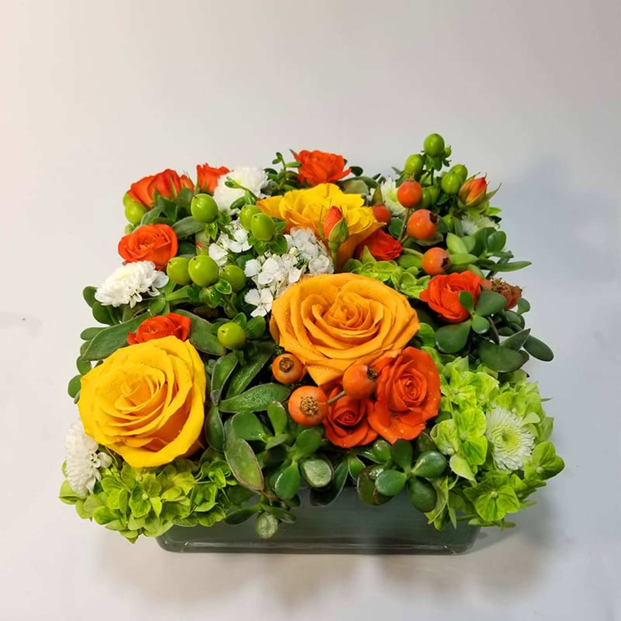 Succulent Party Succulent Party