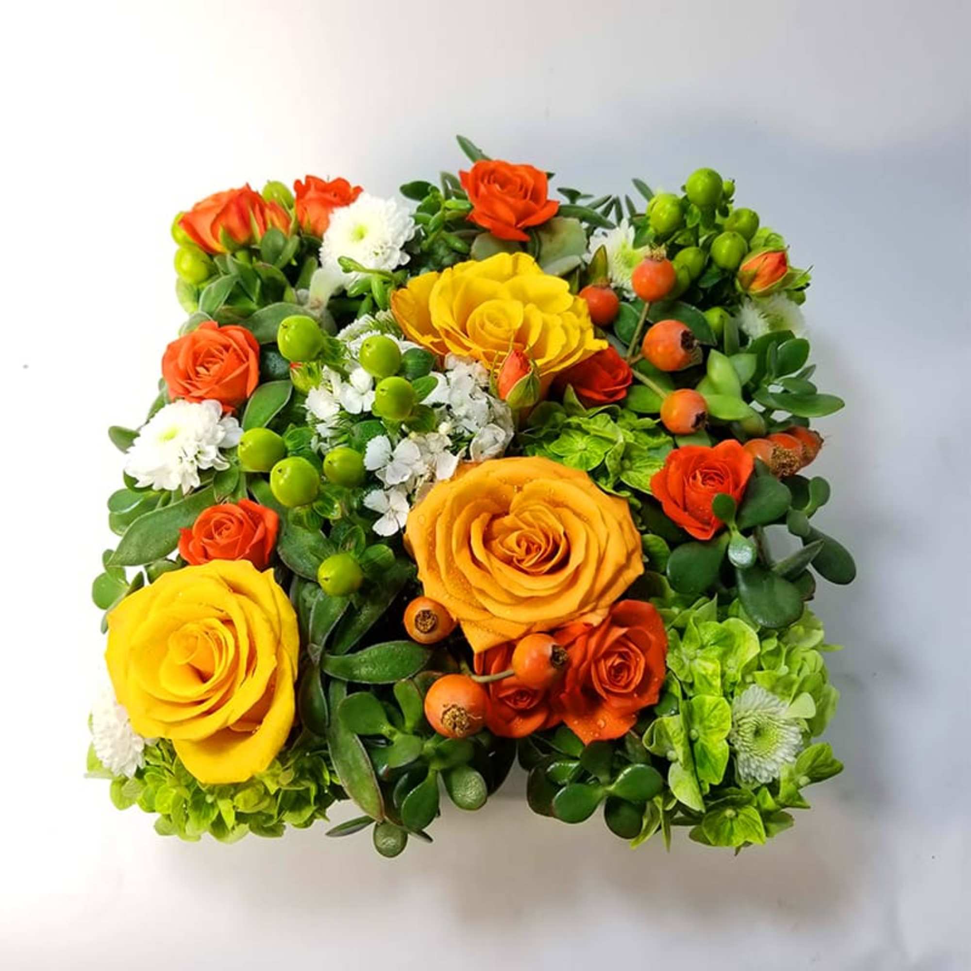 Succulent Party Succulent Party