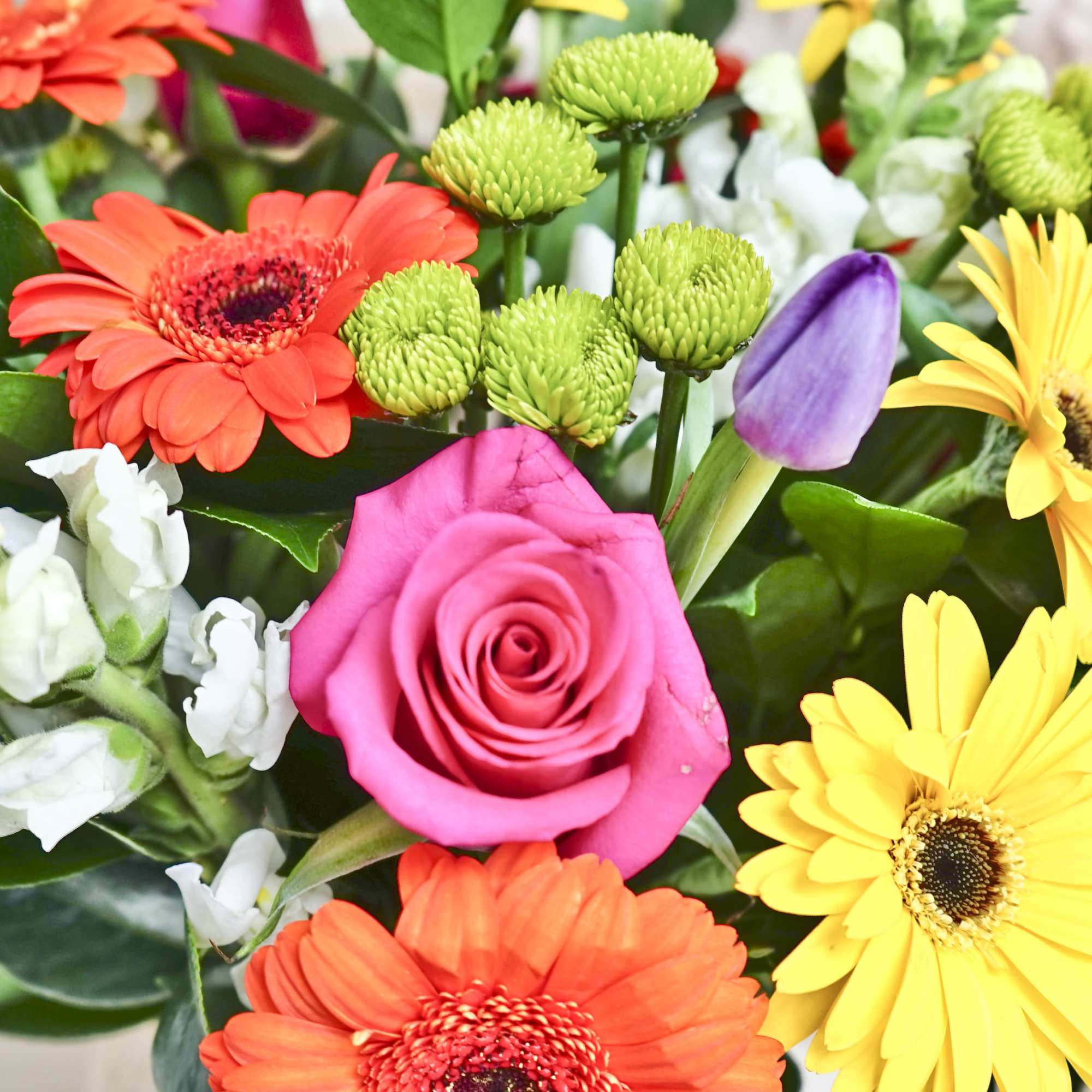 Tall Square w/ Gerber, Roses, Snapdragons. Approx. size: Medium arrangement 16&quot; tall