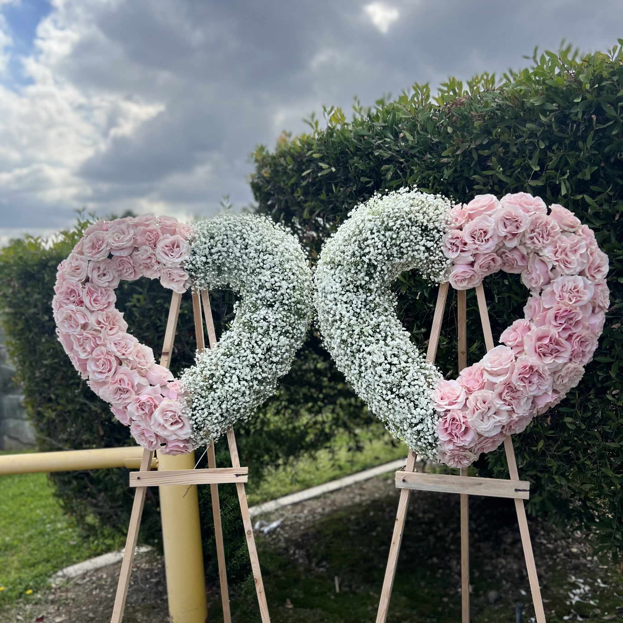 3 Dozen Pink Roses and White Baby Breath, 28&quot;.